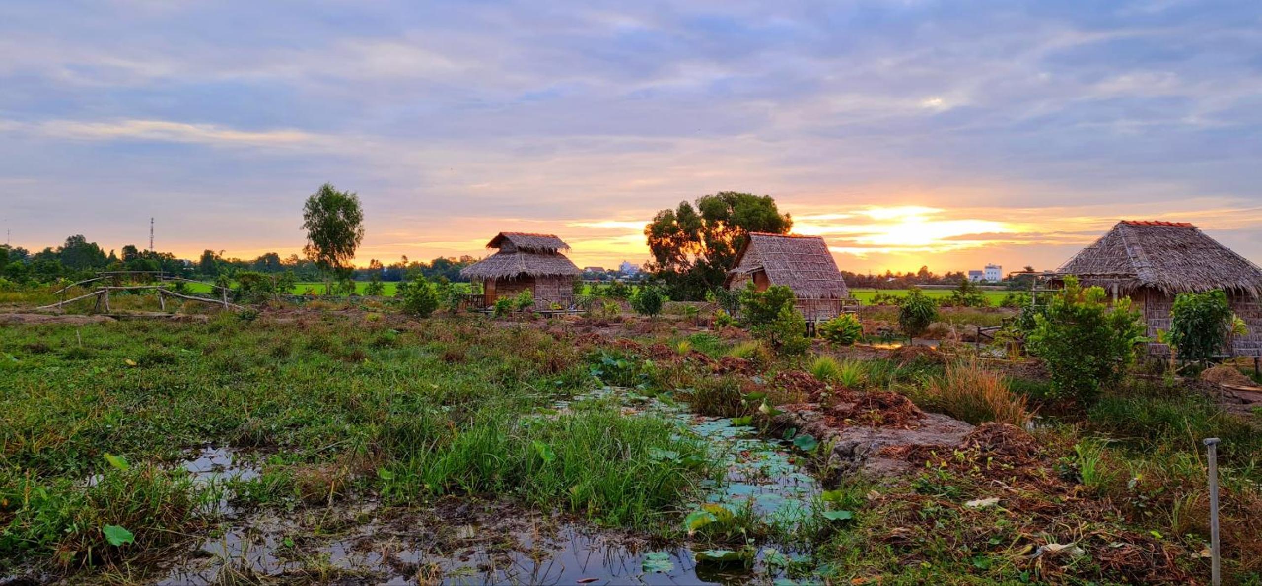 Việt Mekong Farmstay view 5