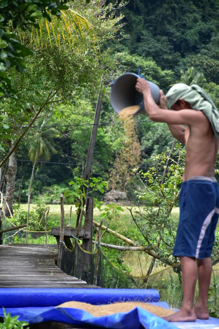 Kampoeng Karst Rammang Rammang