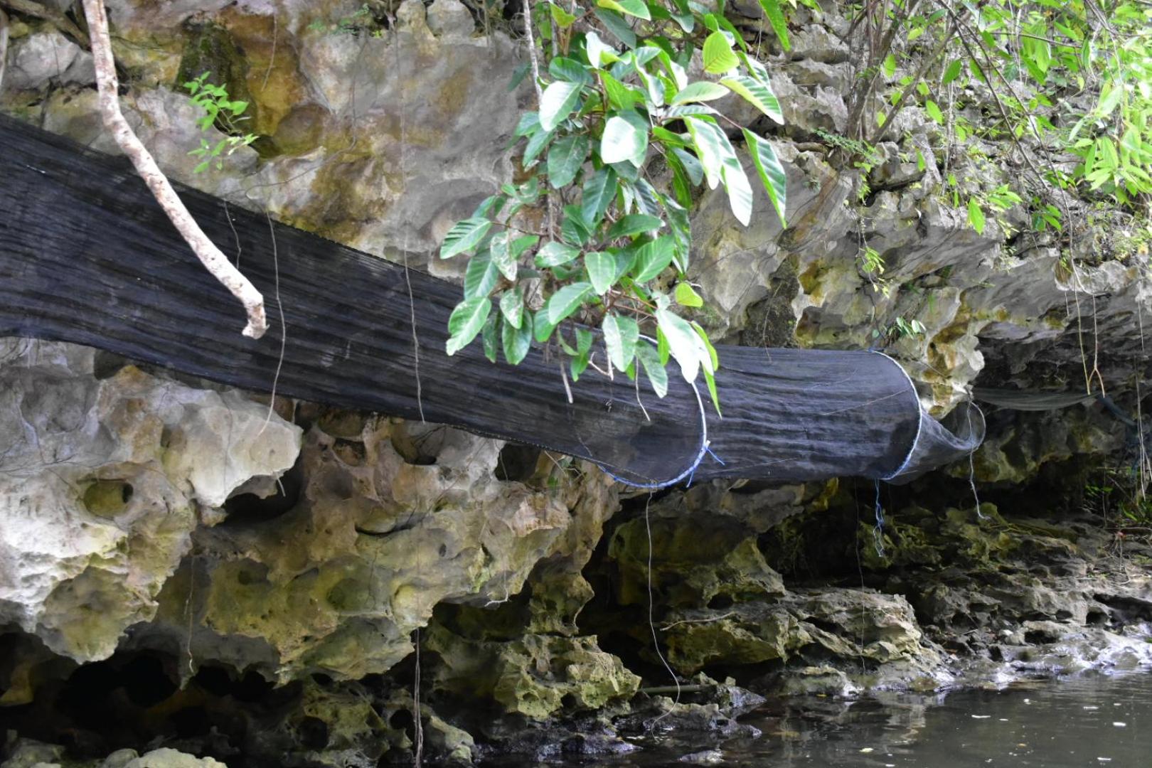 Kampoeng Karst Rammang Rammang