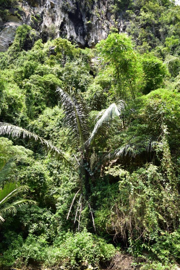 Kampoeng Karst Rammang Rammang