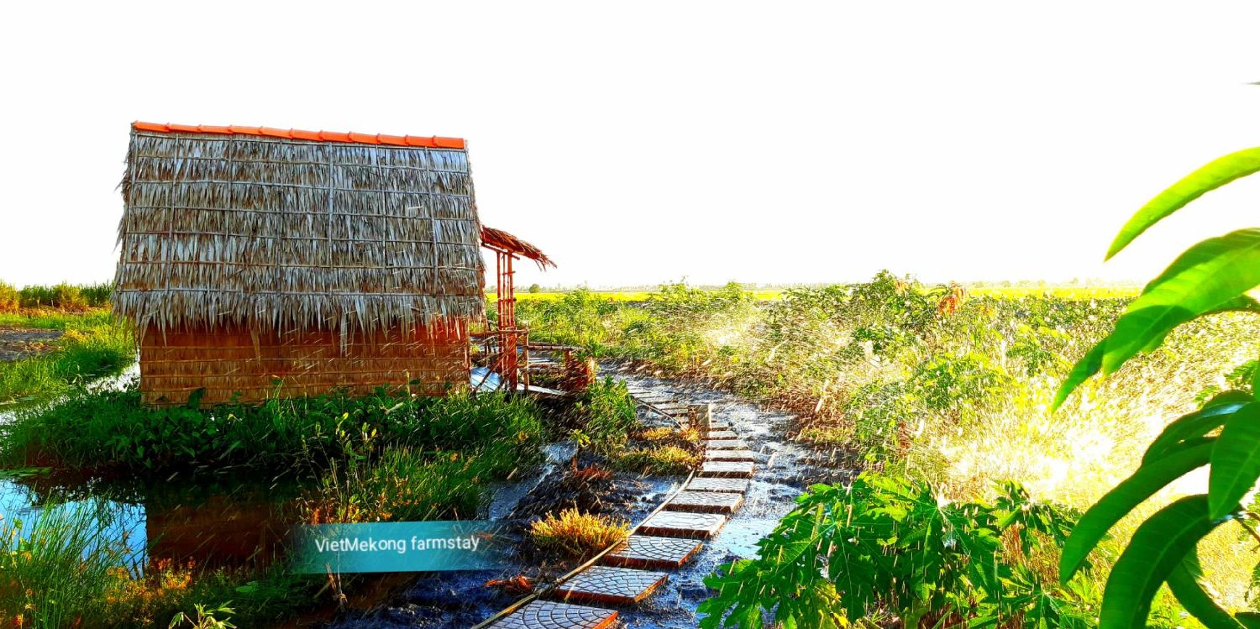 Việt Mekong Farmstay view 2