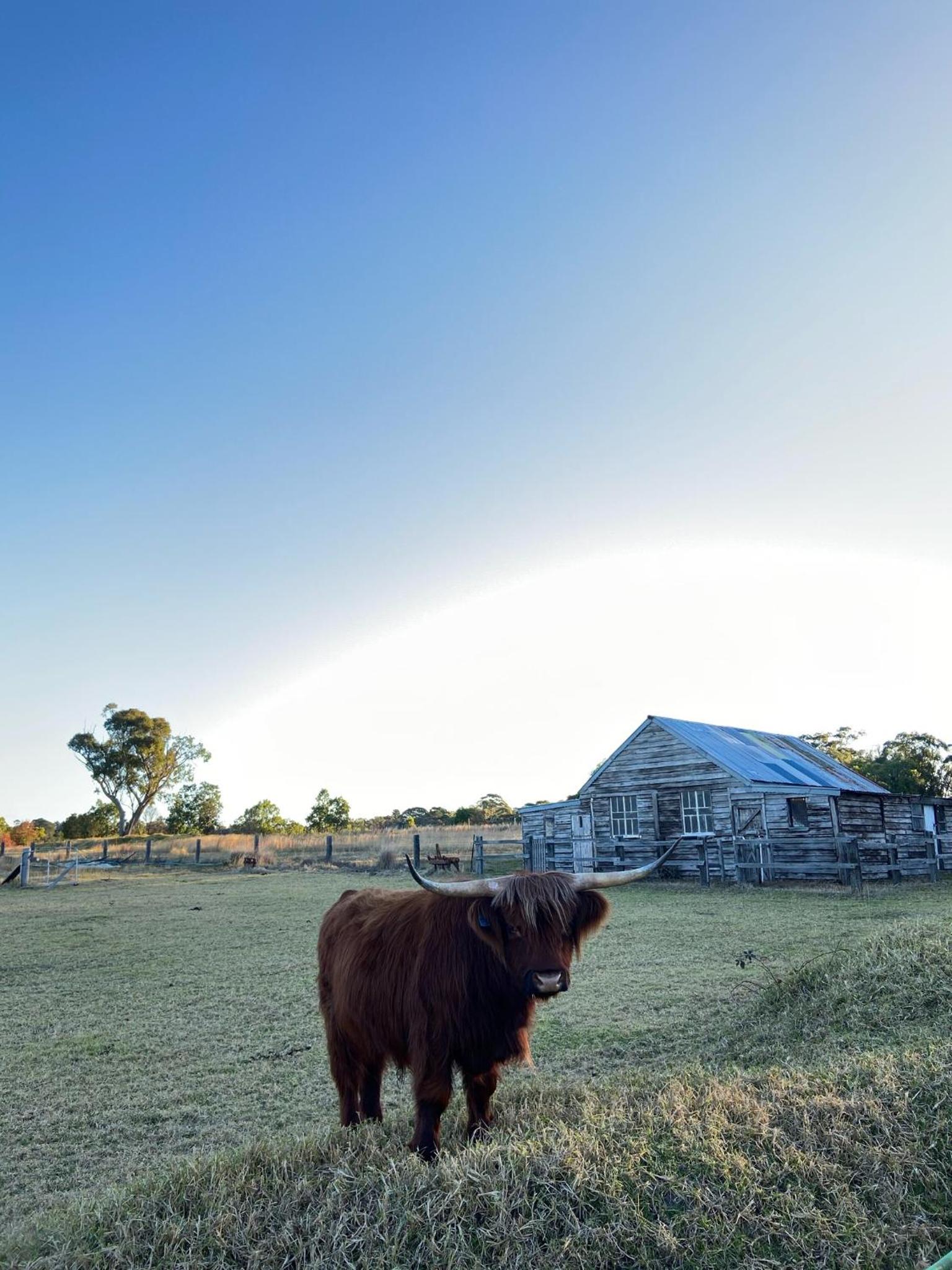 Straw House Farm - STANTHORPE