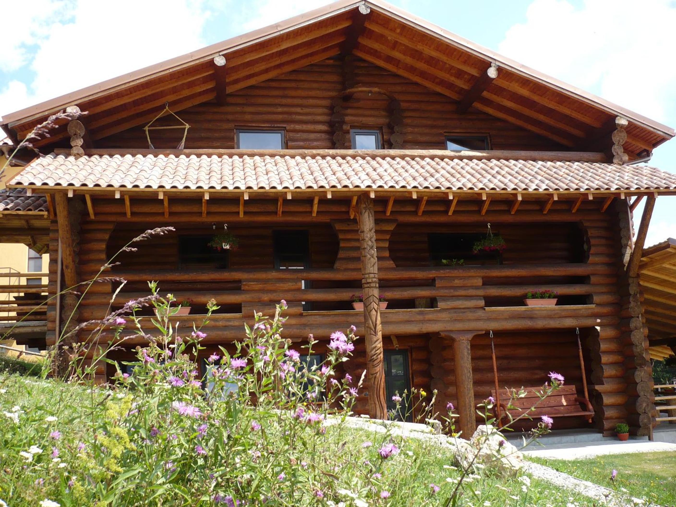 Cabana Vultur