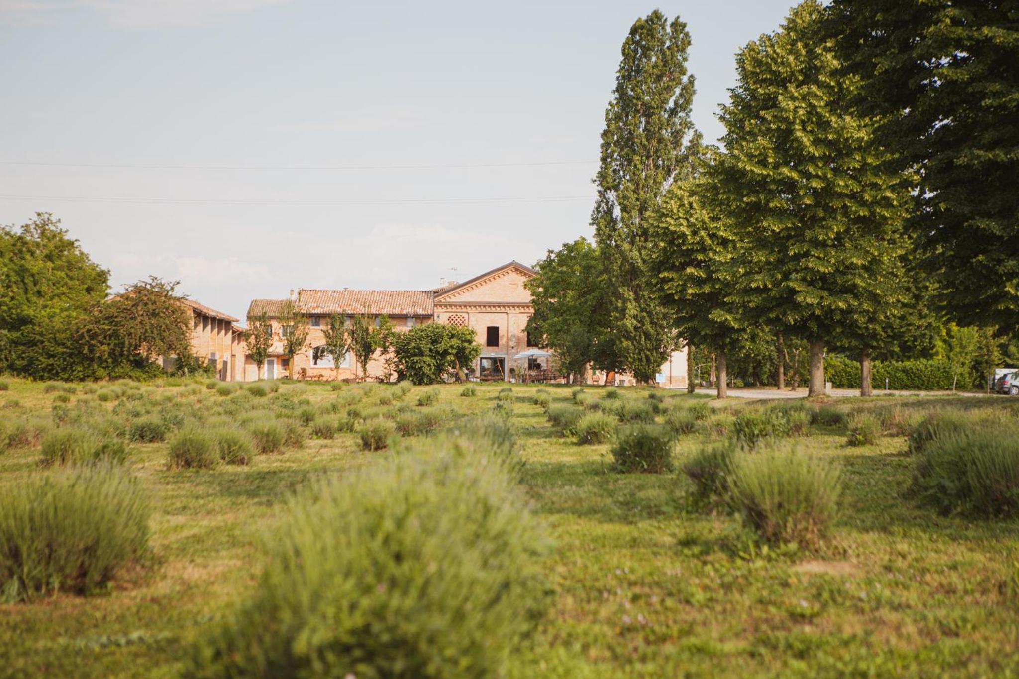 Agriturismo Il Capitolo view 2