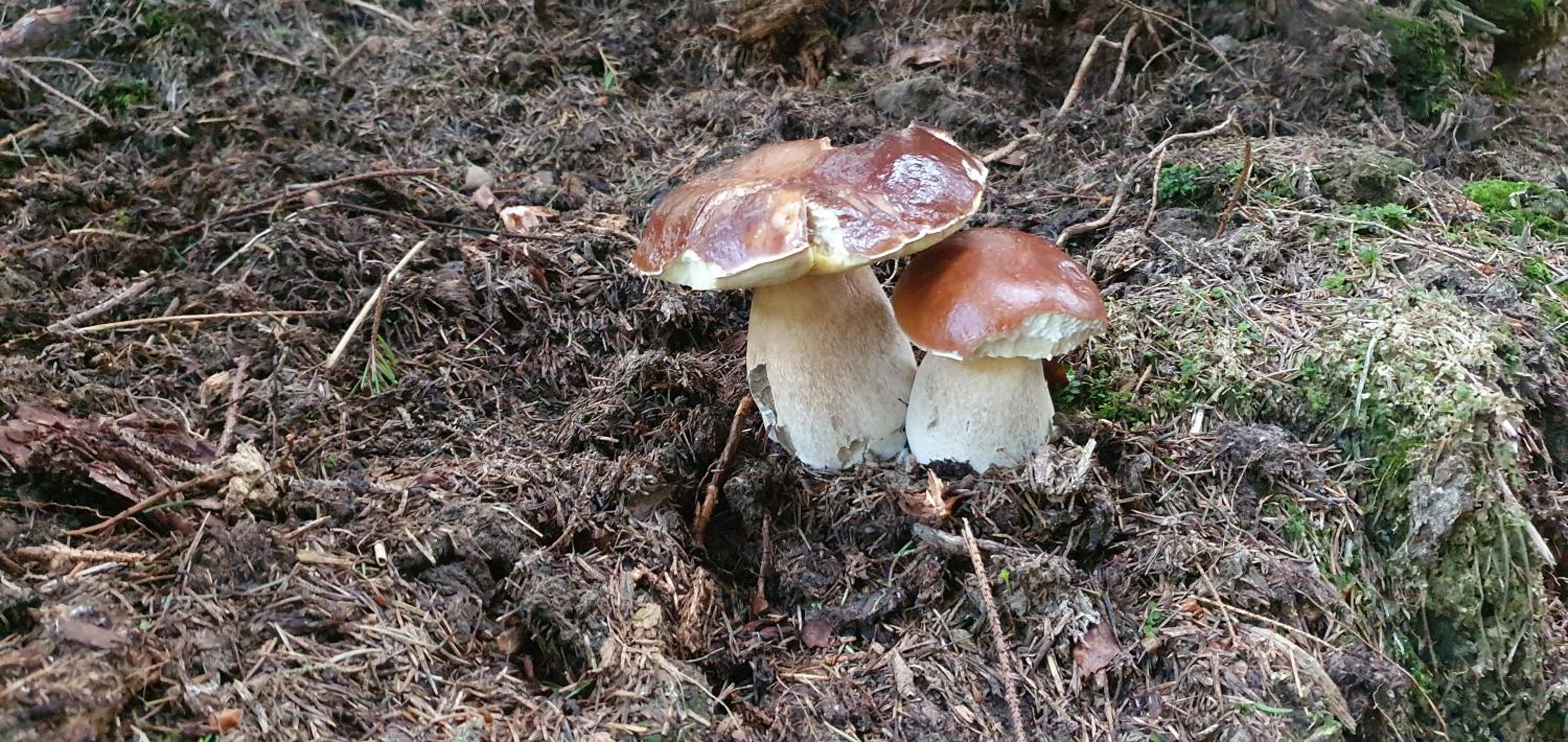 Photo 27