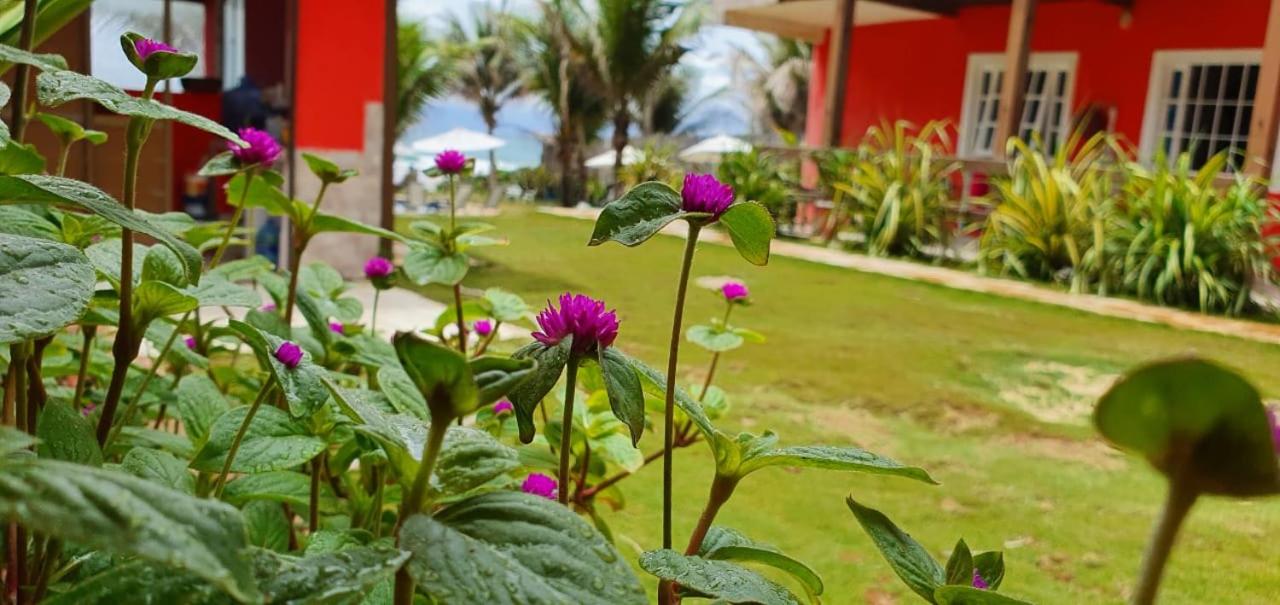 Casas Pé na Areia - Vista Mar