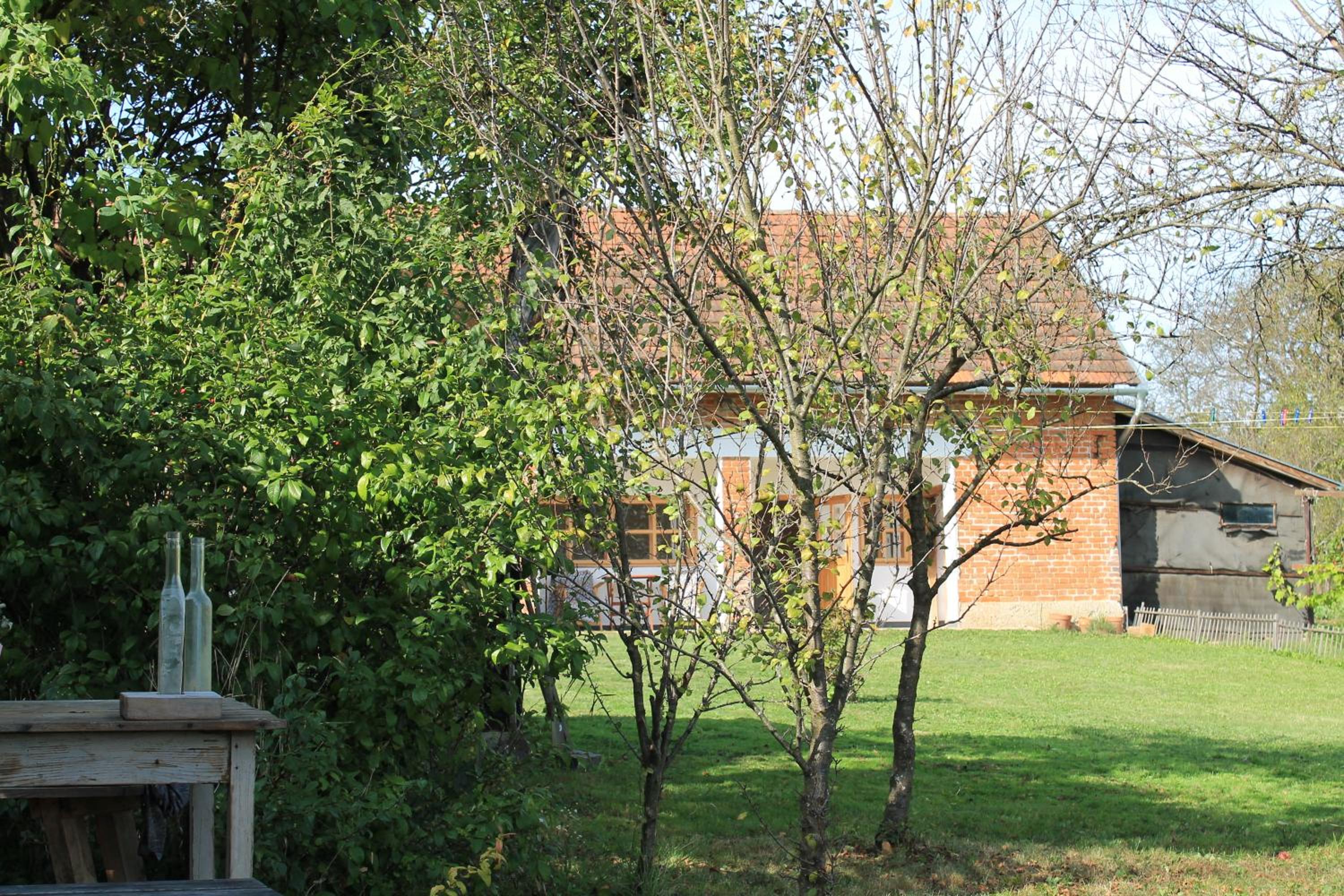 Photo 13