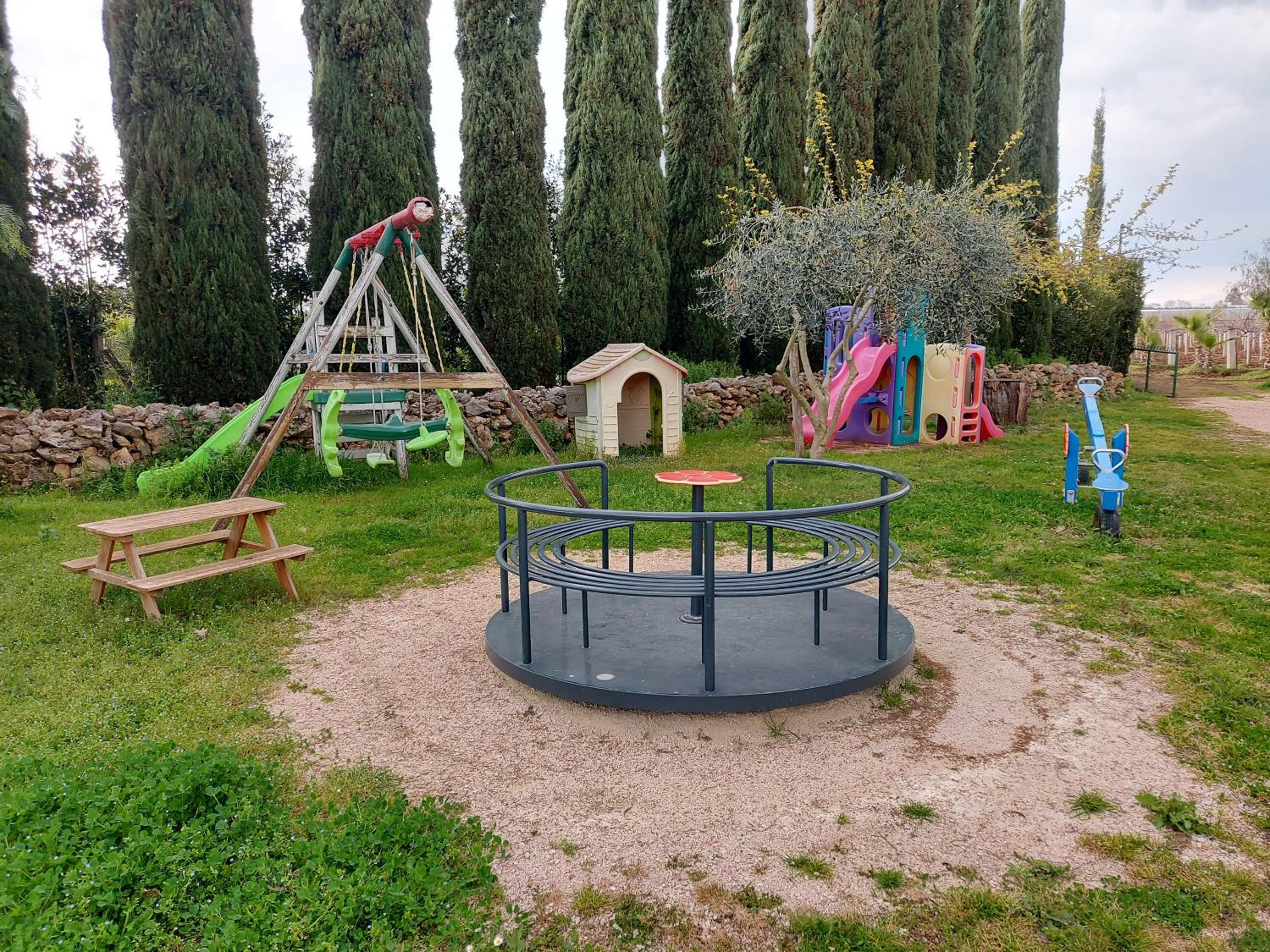 Photo 19