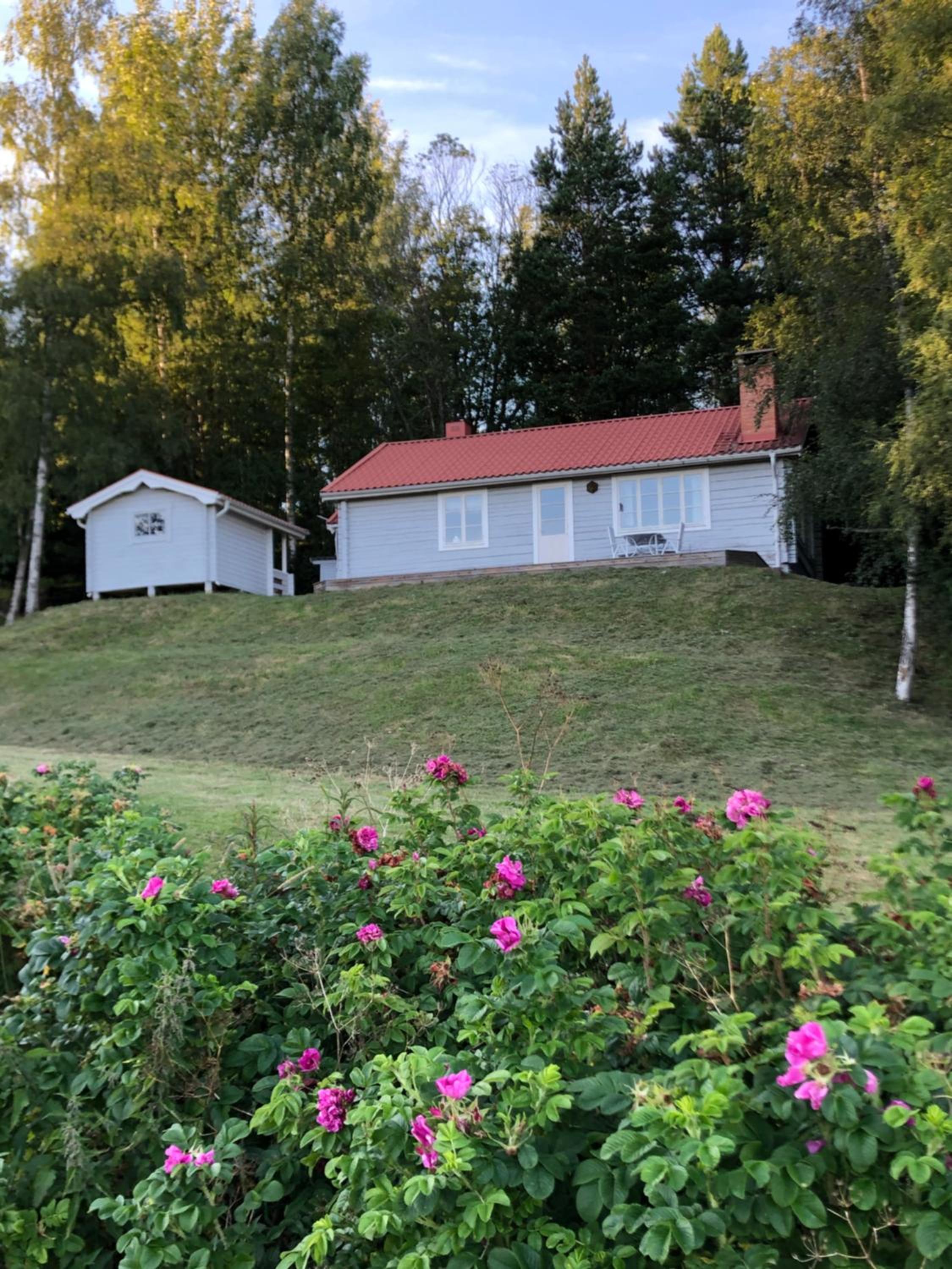Photo 31