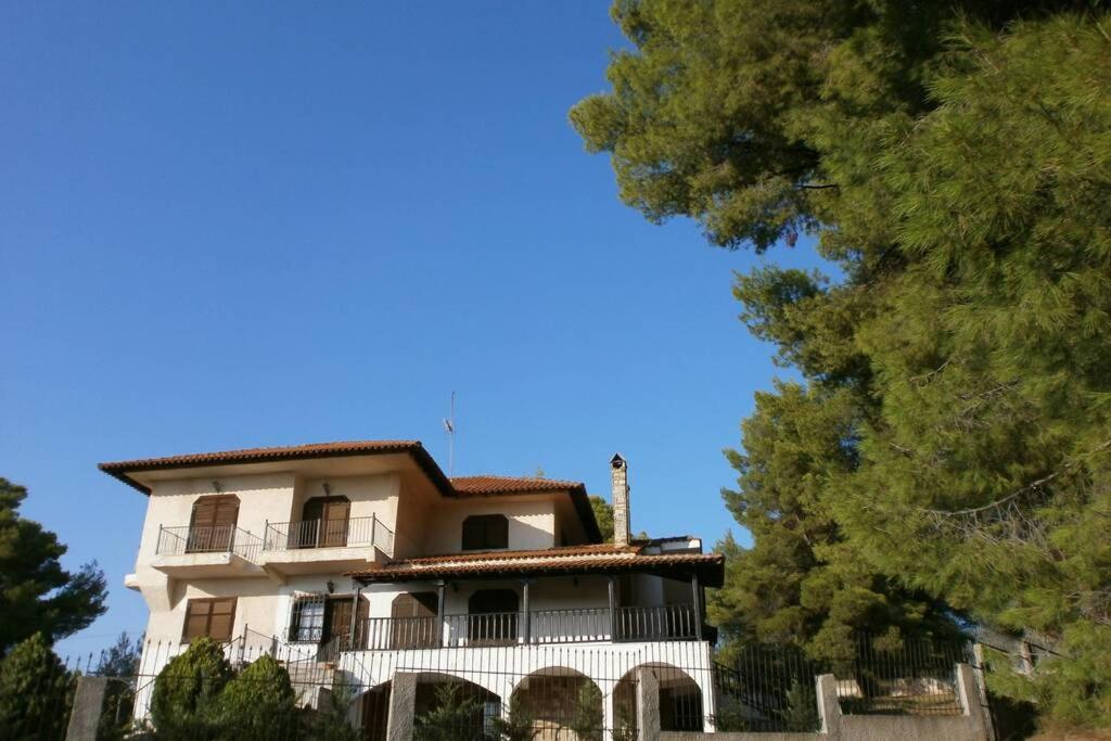 Photo 21