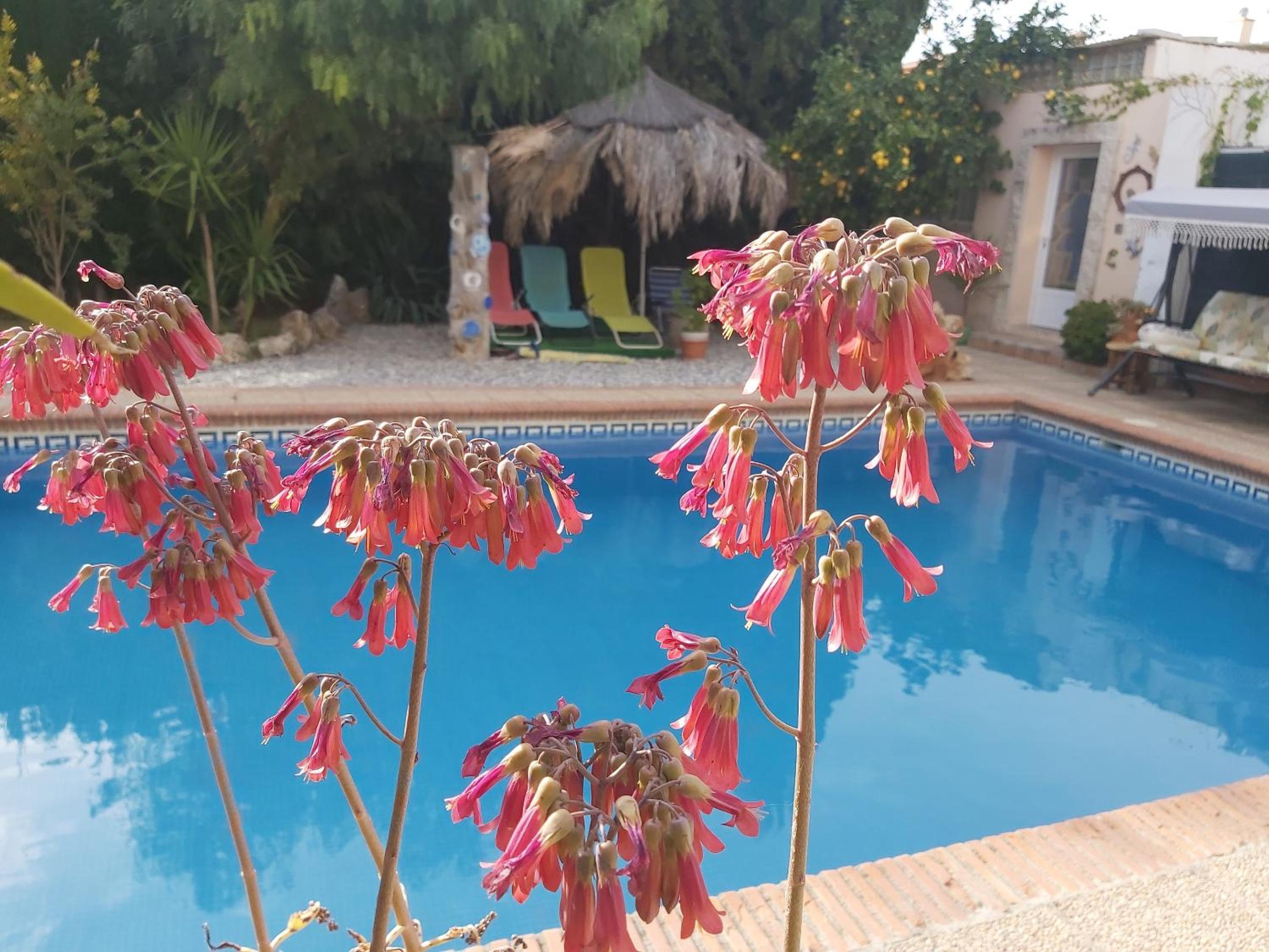 Charming Villa in Padul with Mountain View and Private Pool