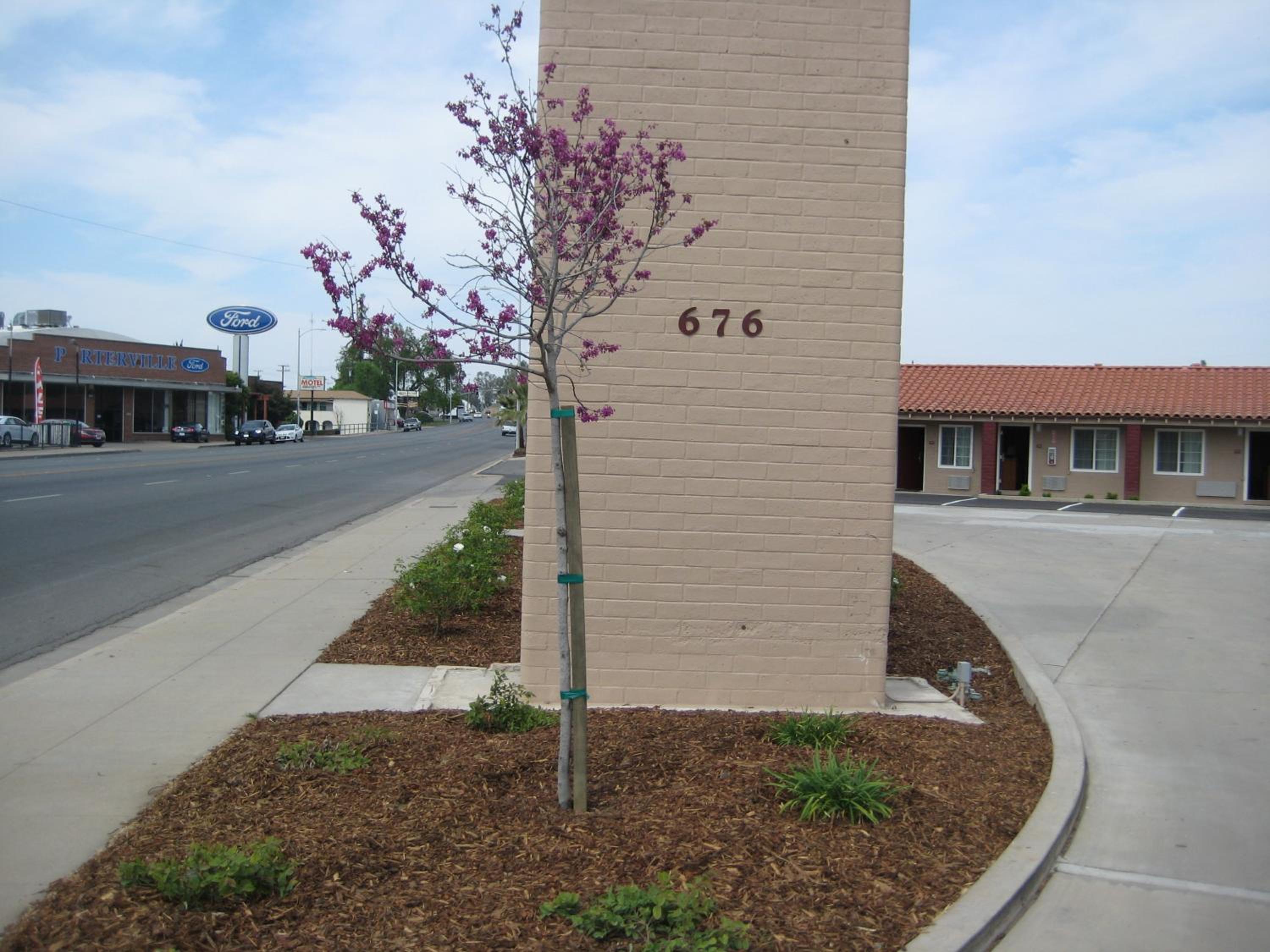 Americas Best Value Inn - Porterville