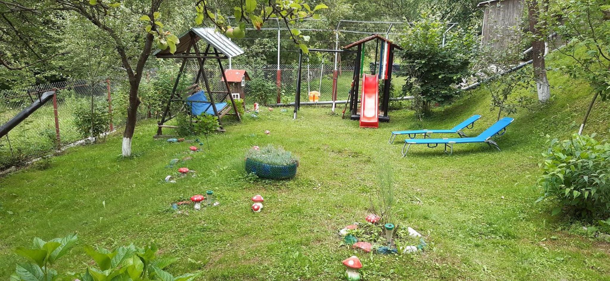 Photo 31