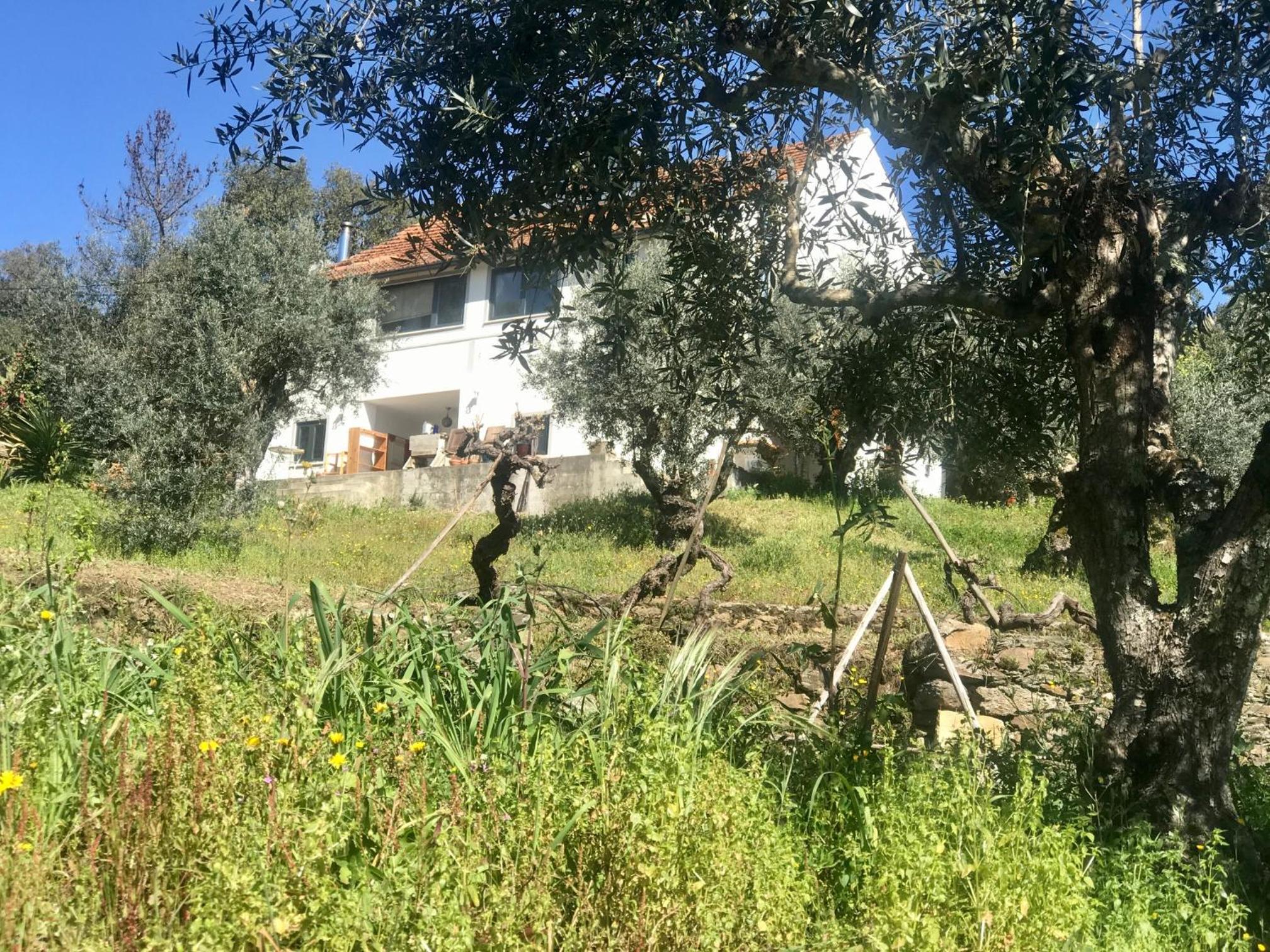 Photo 22