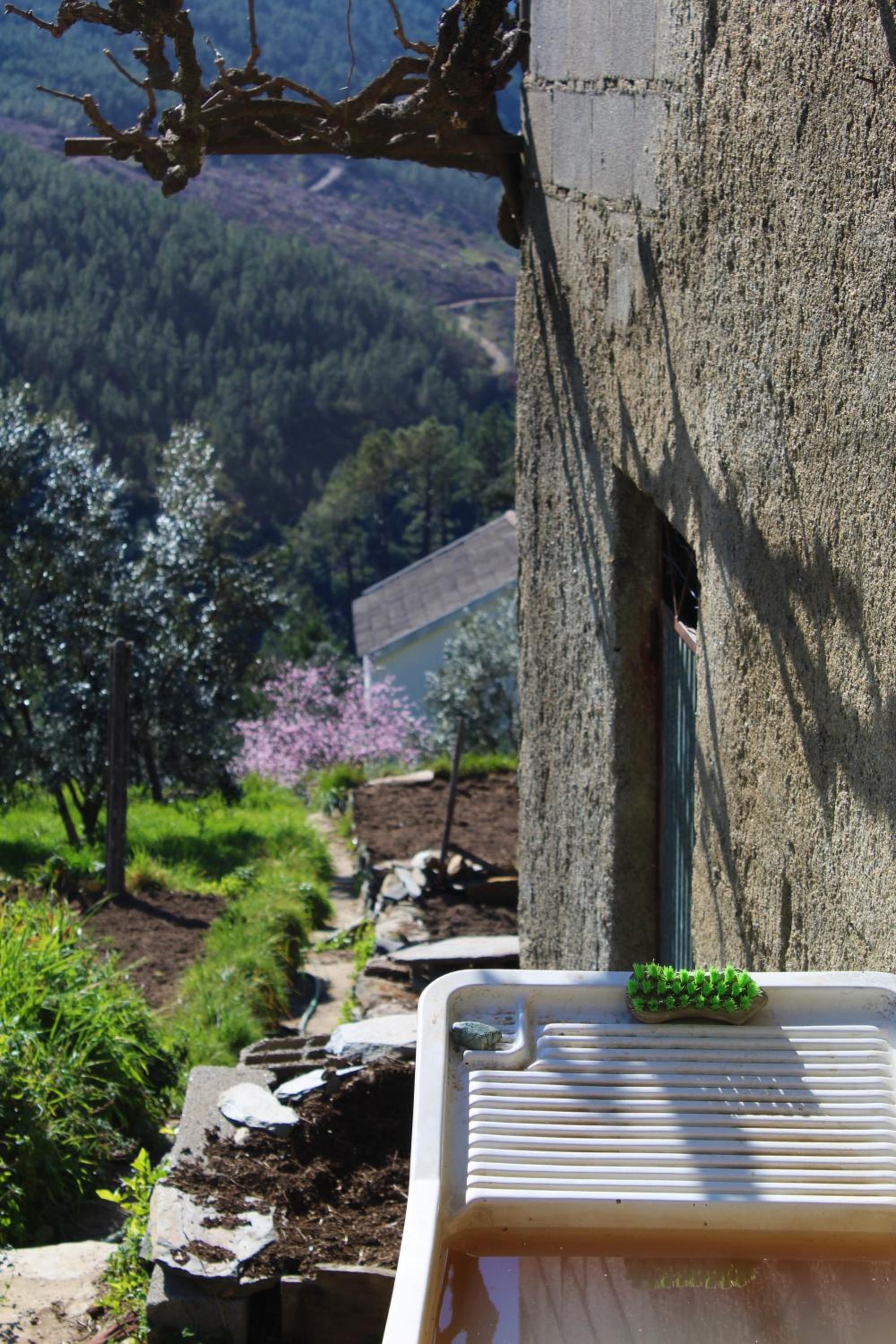 Photo 37