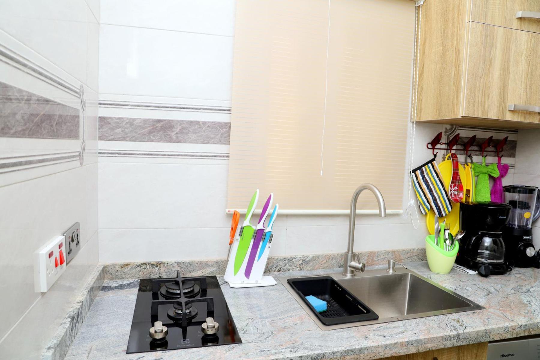 GAZANIA CLASSIC SUITE, RHODABODE APT. view 2