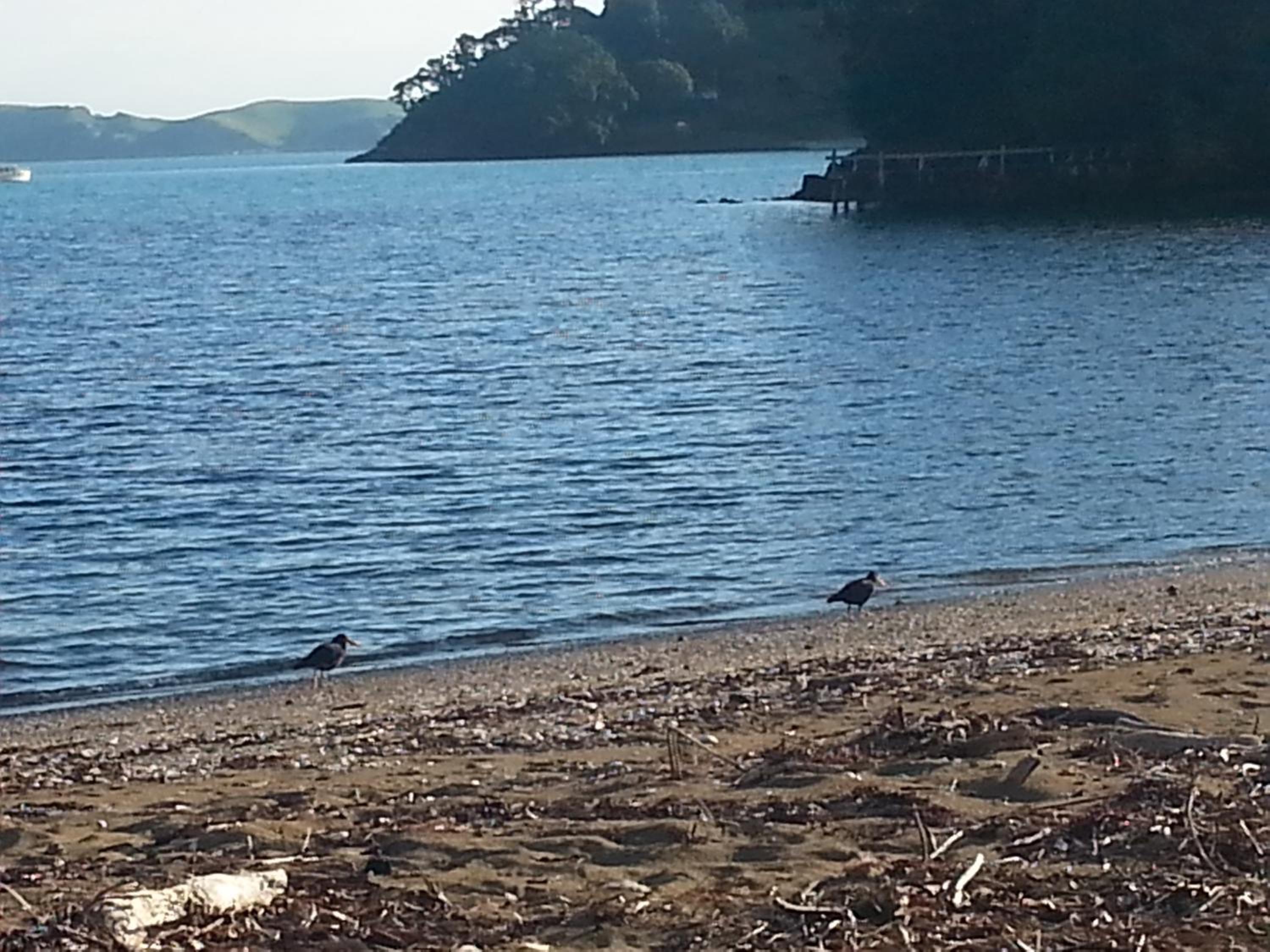 Oamaru Bay Tourist Park