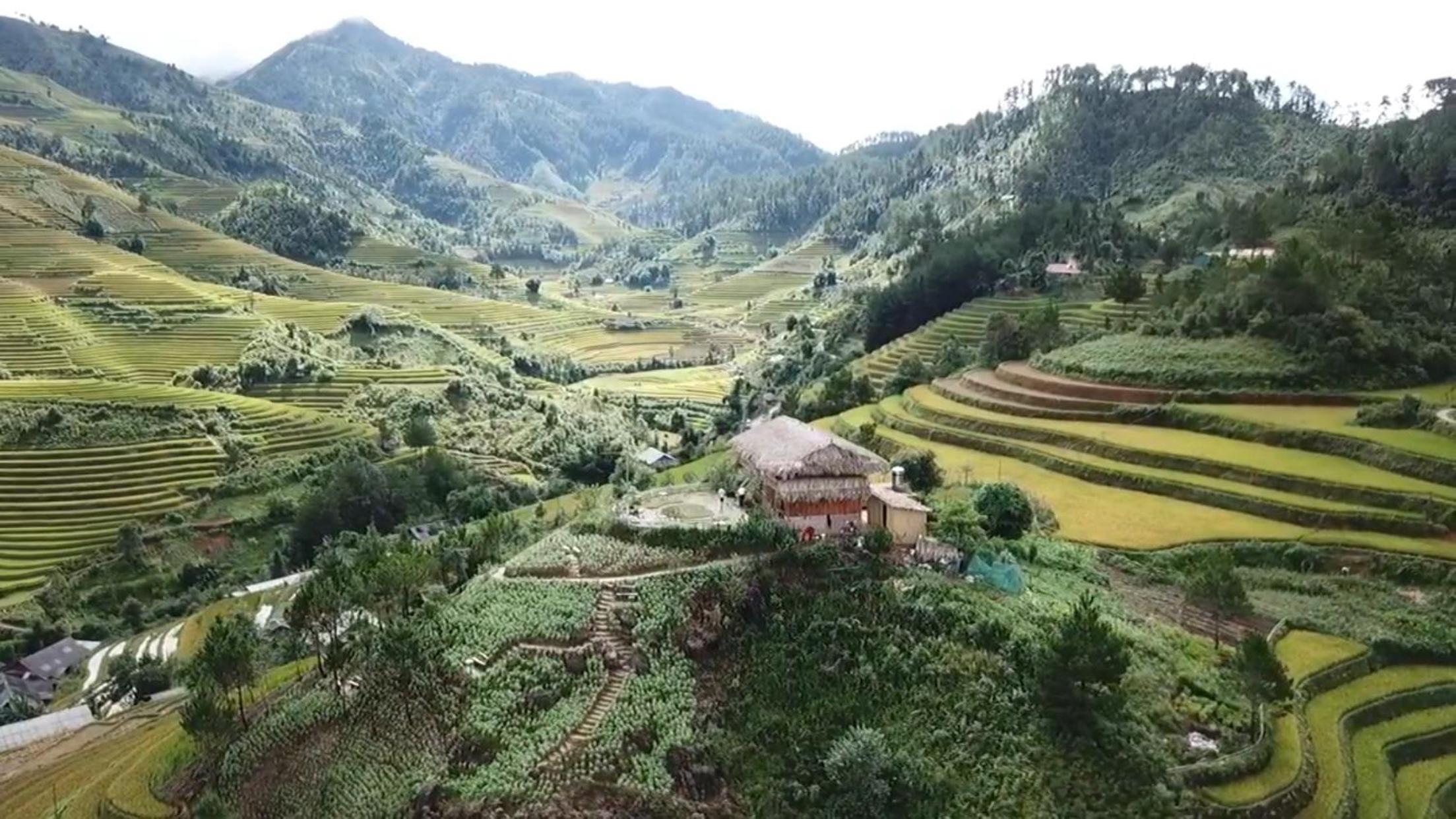 Hello Mu Cang Chai Homestay & Tours