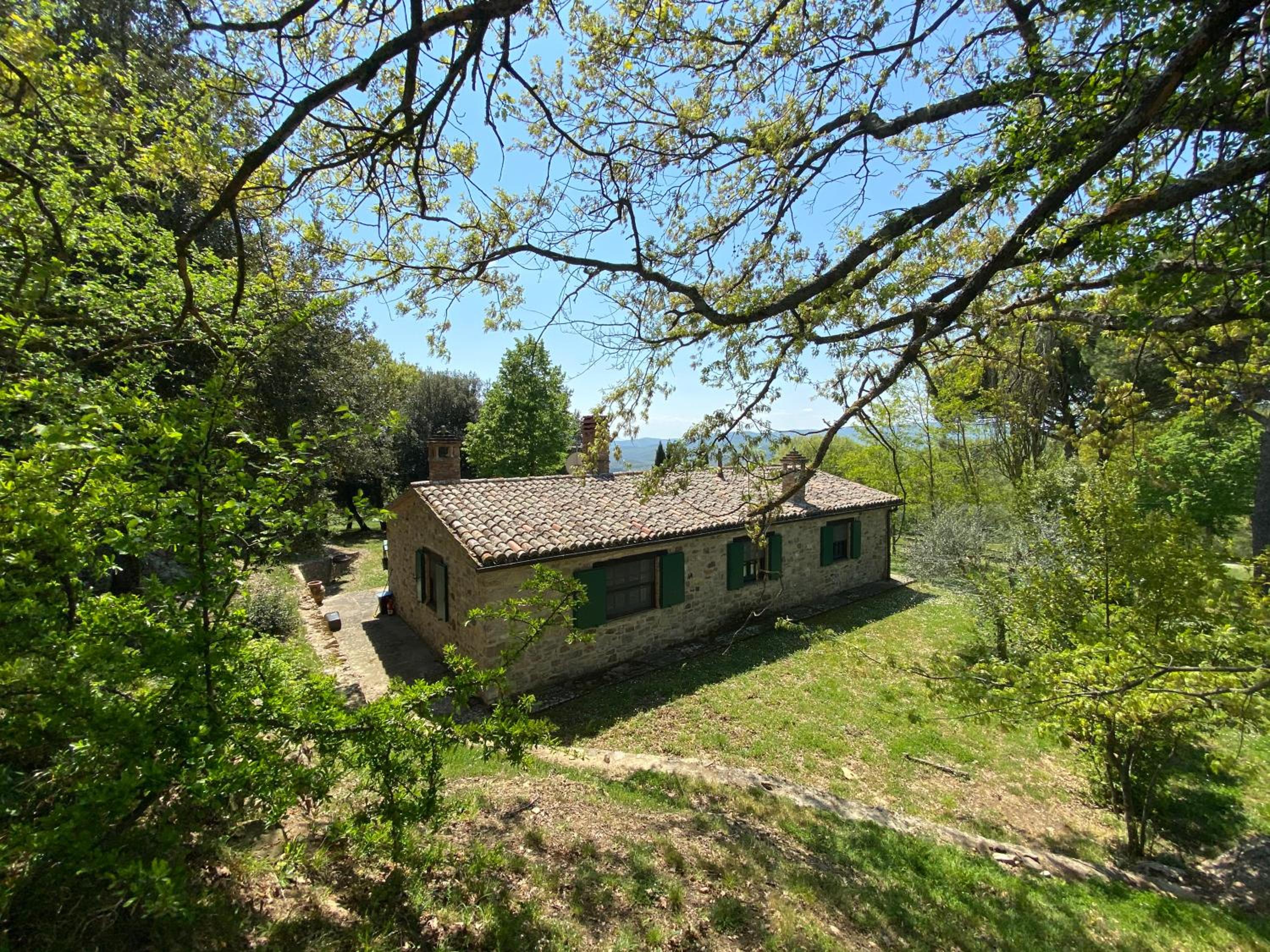 Photo 17