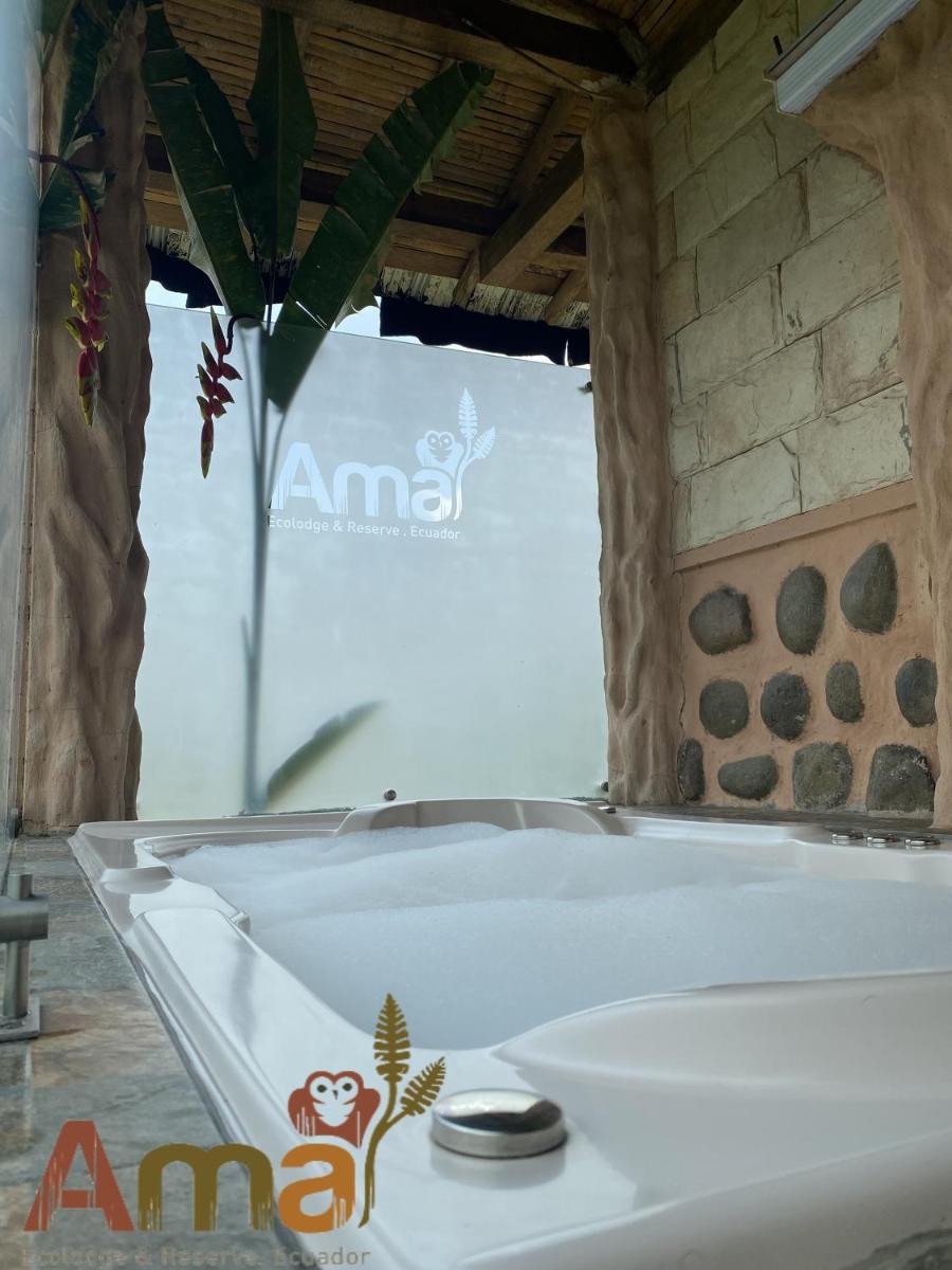 Ama Ecolodge view 2