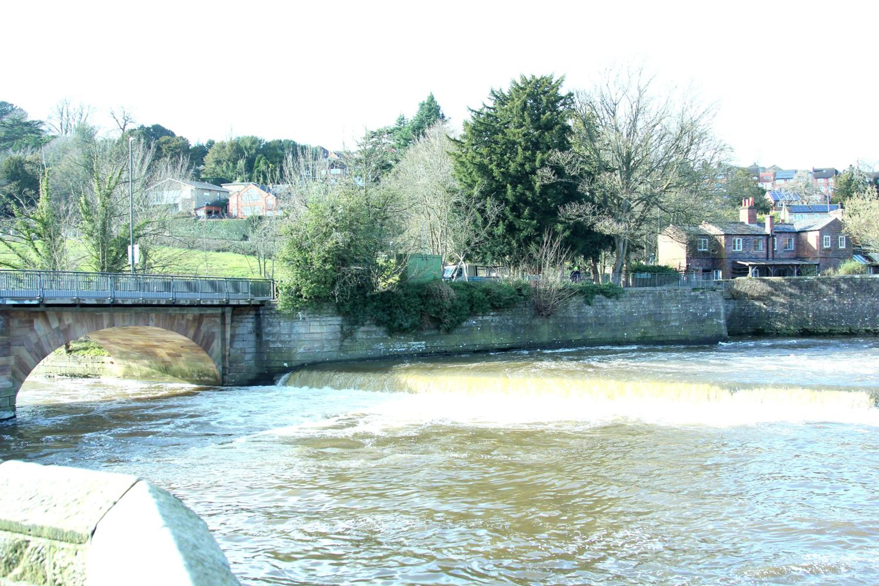 Photo 17