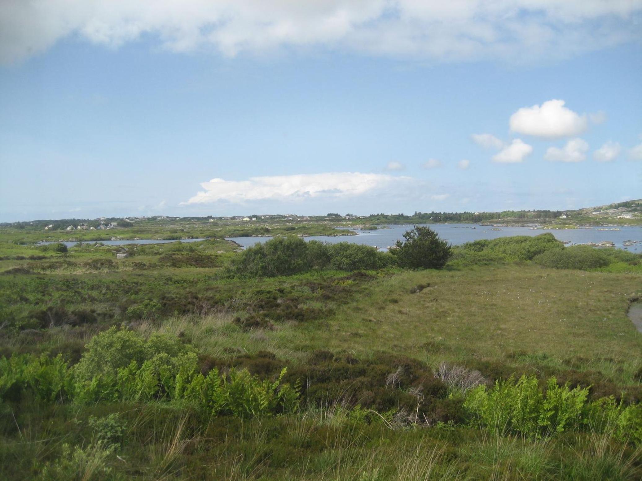 Photo 32
