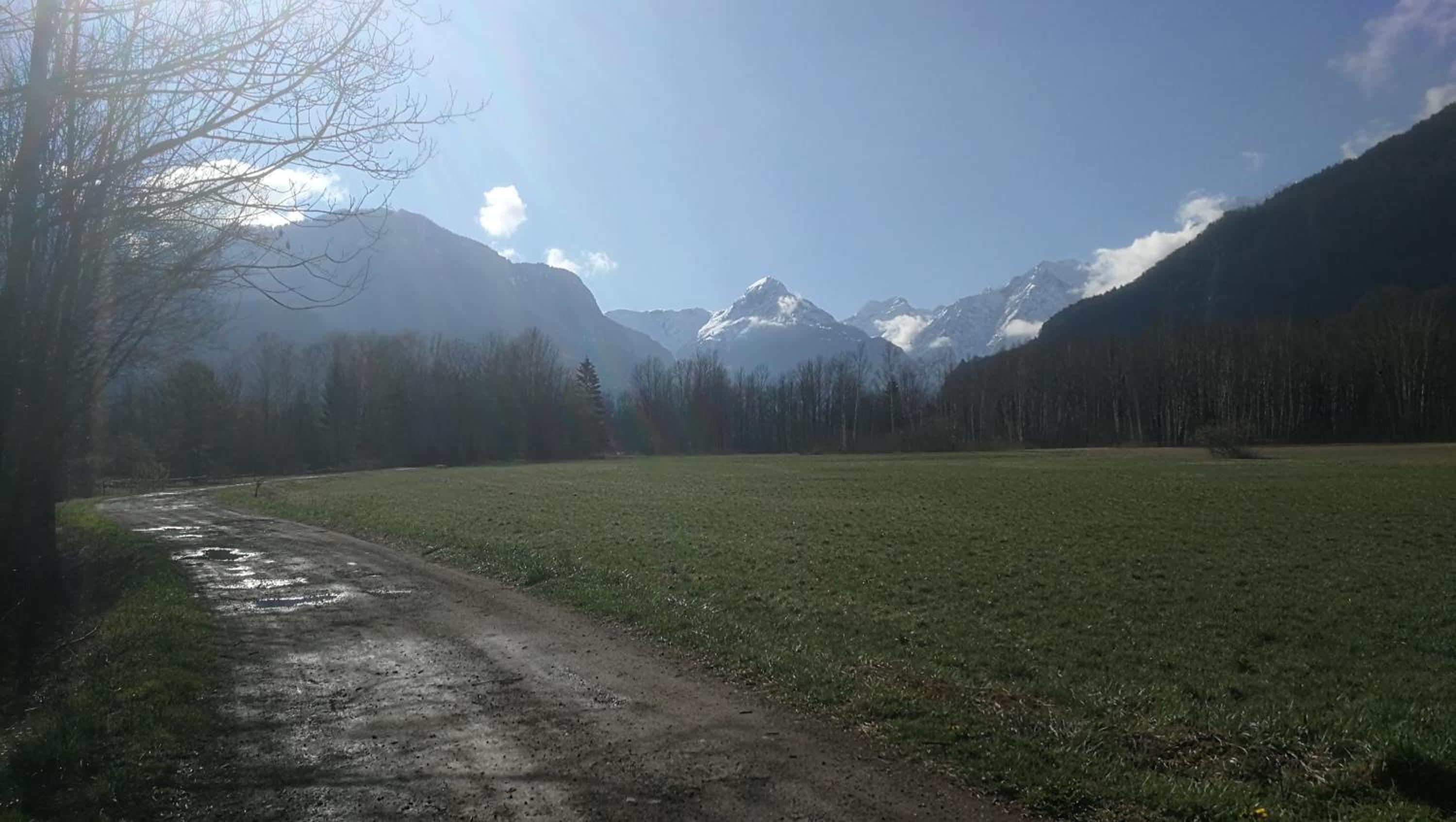 Photo 42