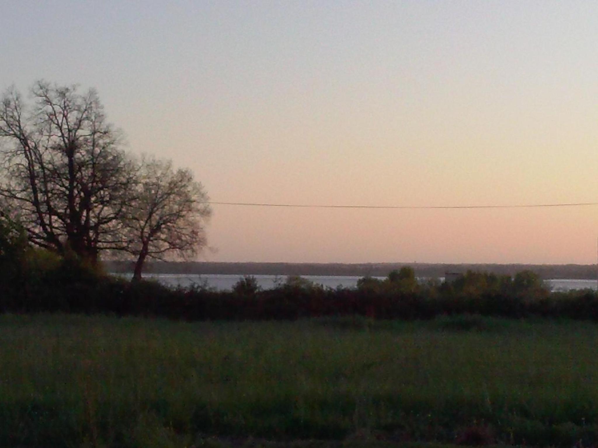 Photo 37