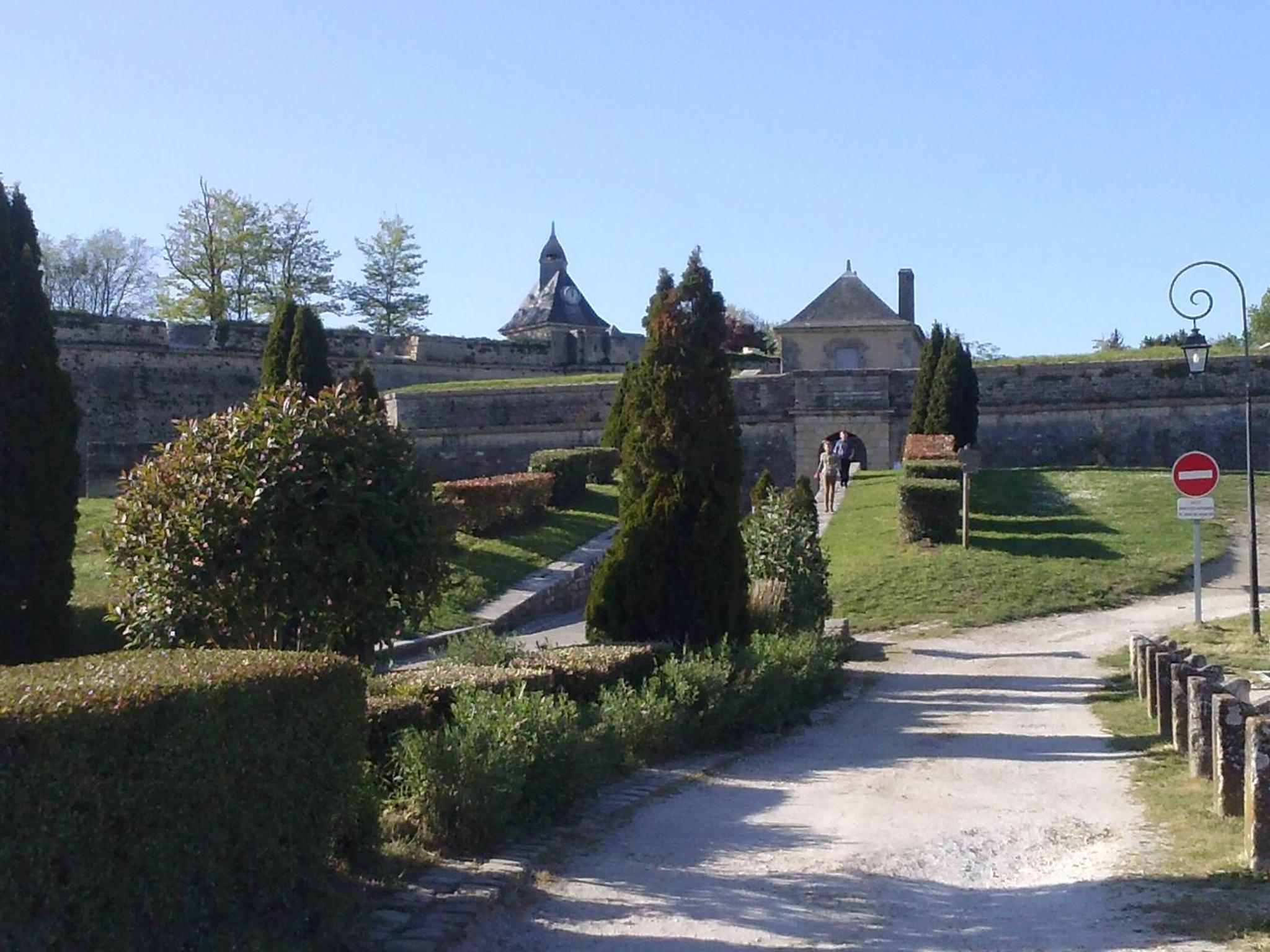 Photo 45
