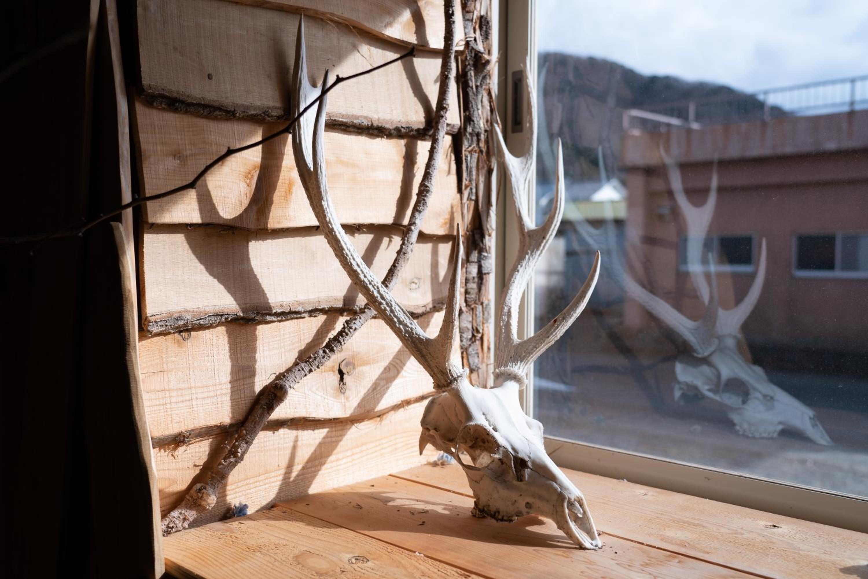Lodge Mondo, photo 64