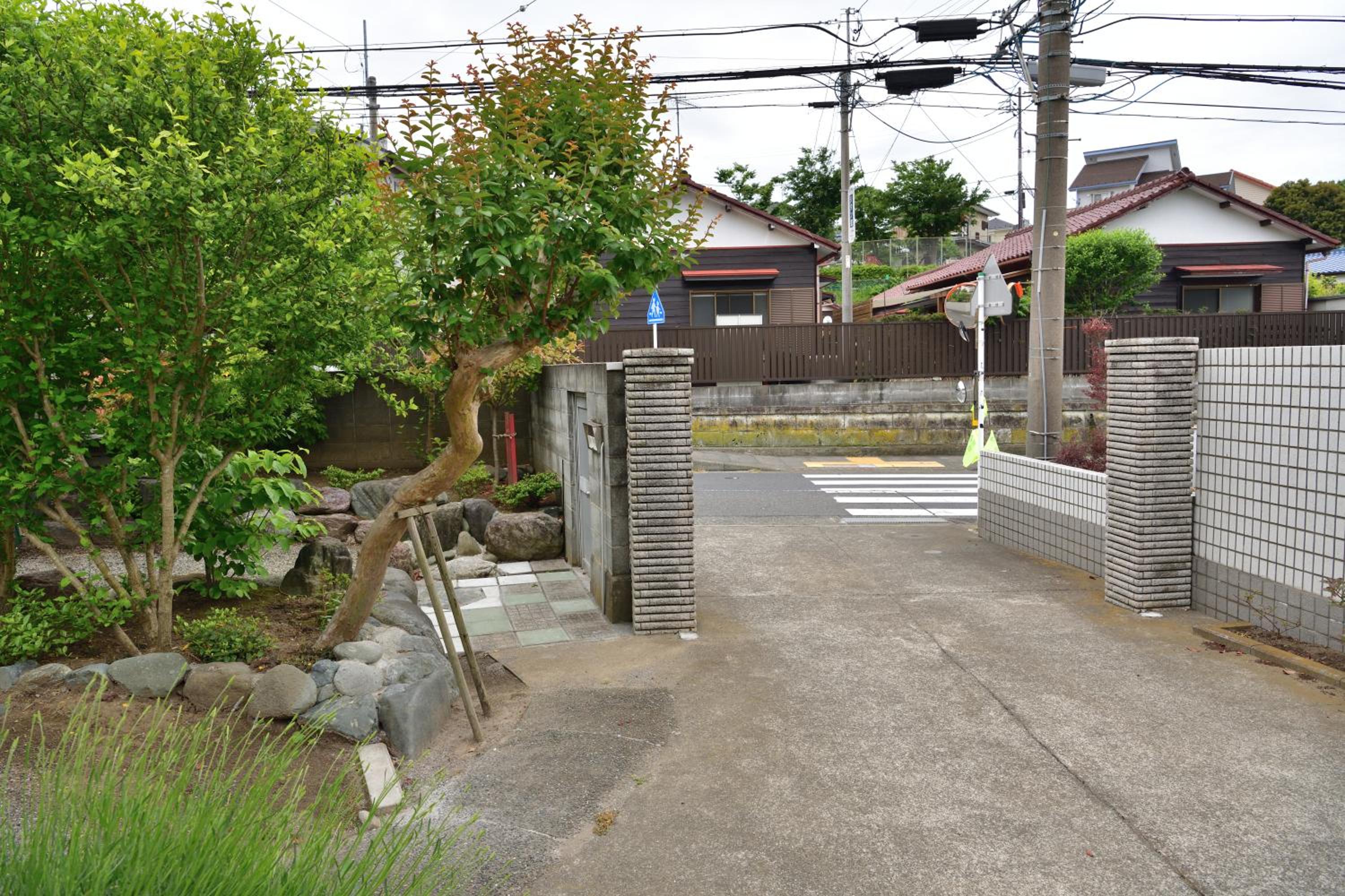 山葵-WASABI view 3