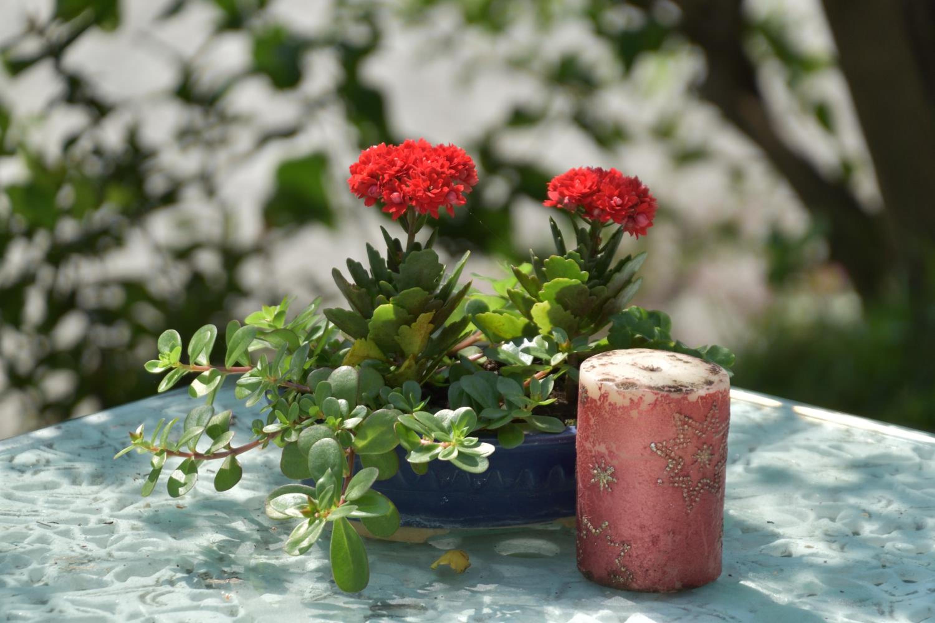 Taitung Linyuan B&B