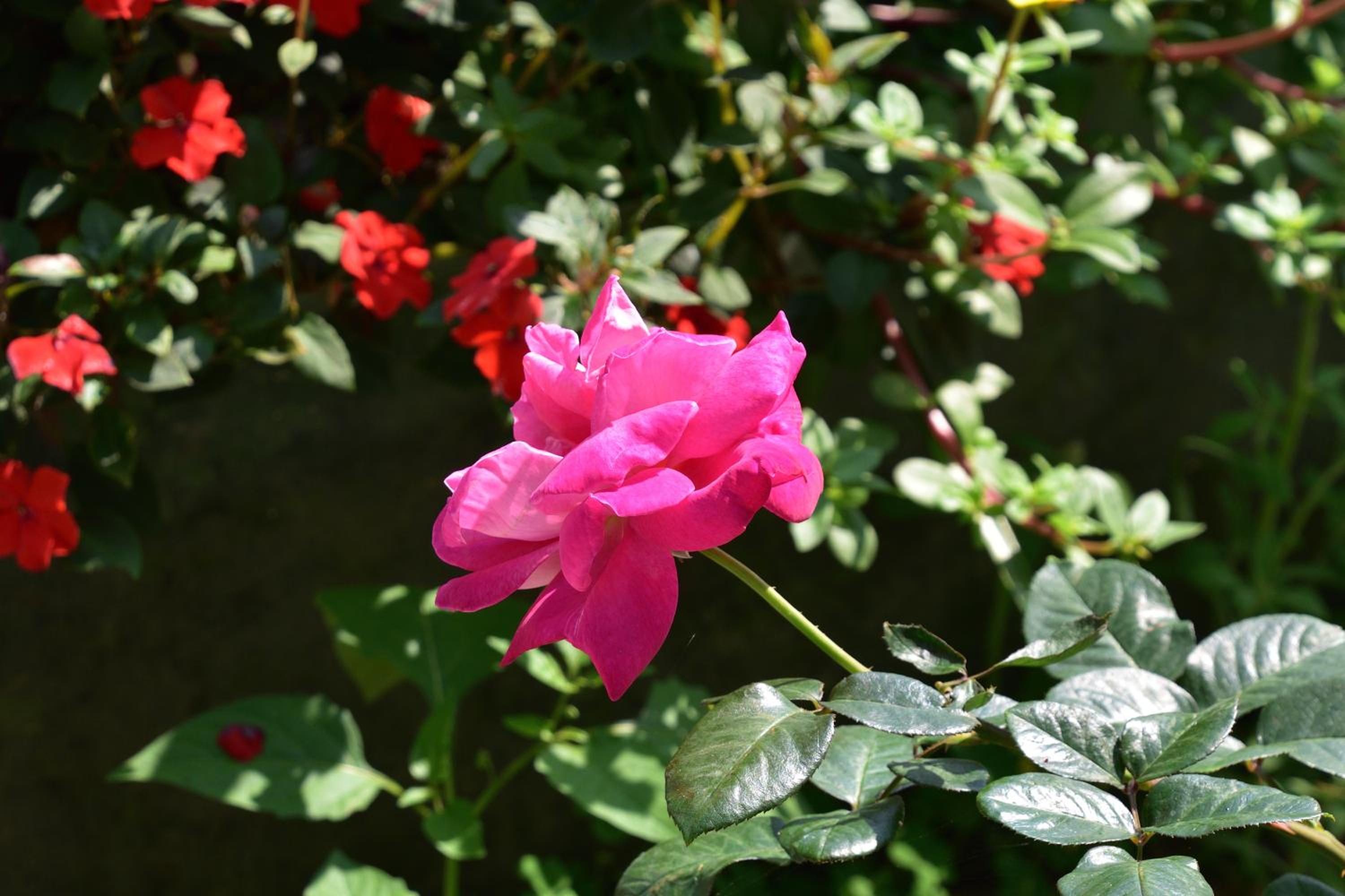 Taitung Linyuan B&B