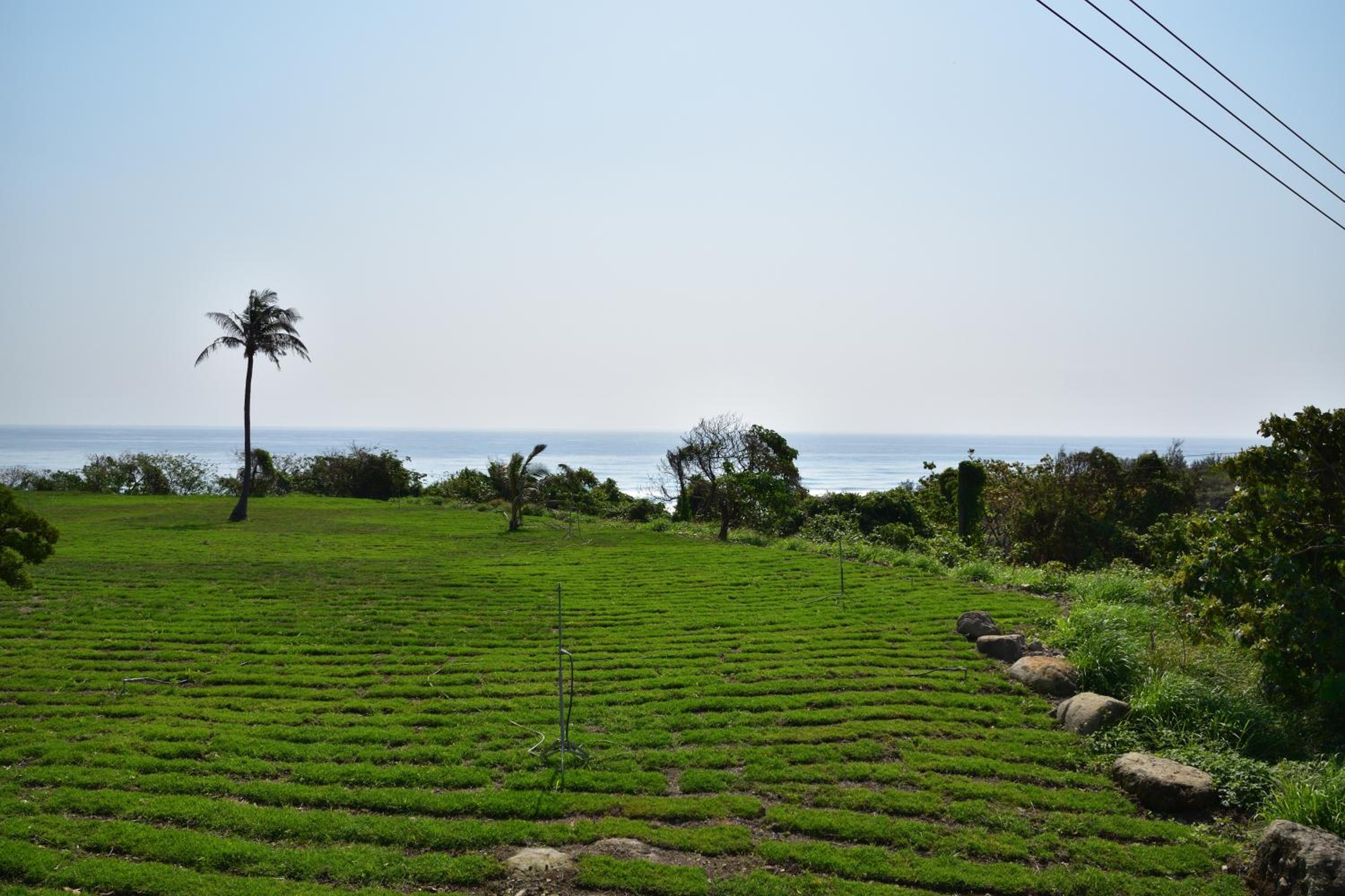 Taitung Linyuan B&B