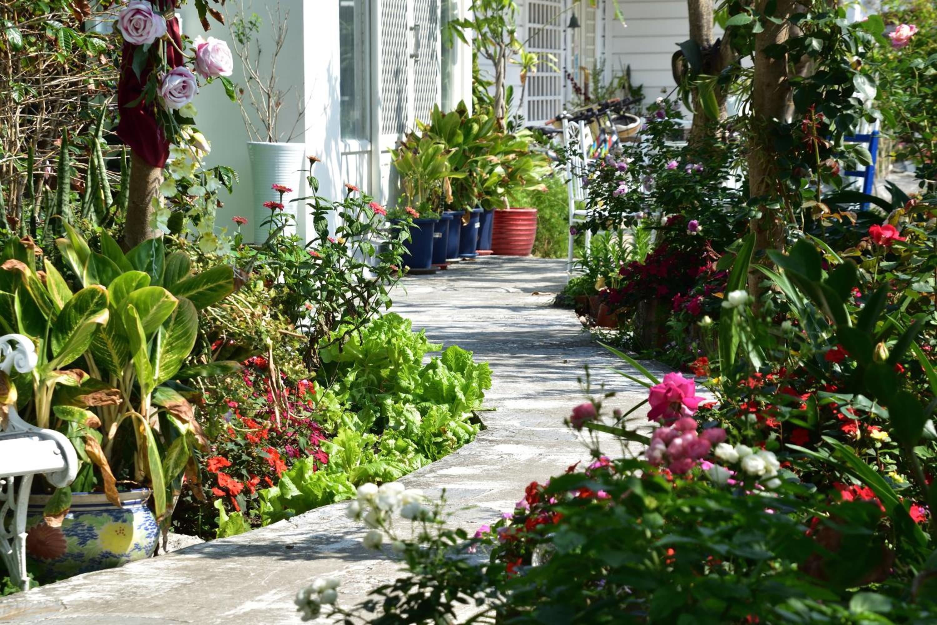 Taitung Linyuan B&B