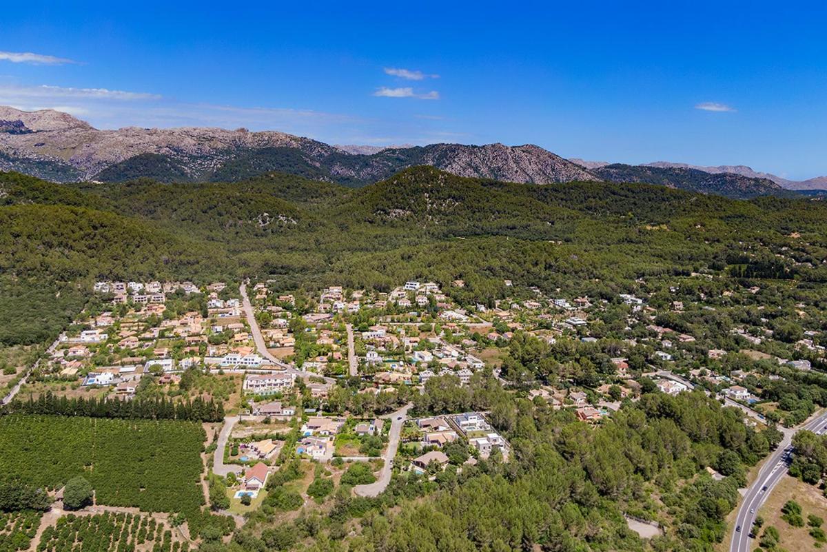 Modern Palmeras view 5