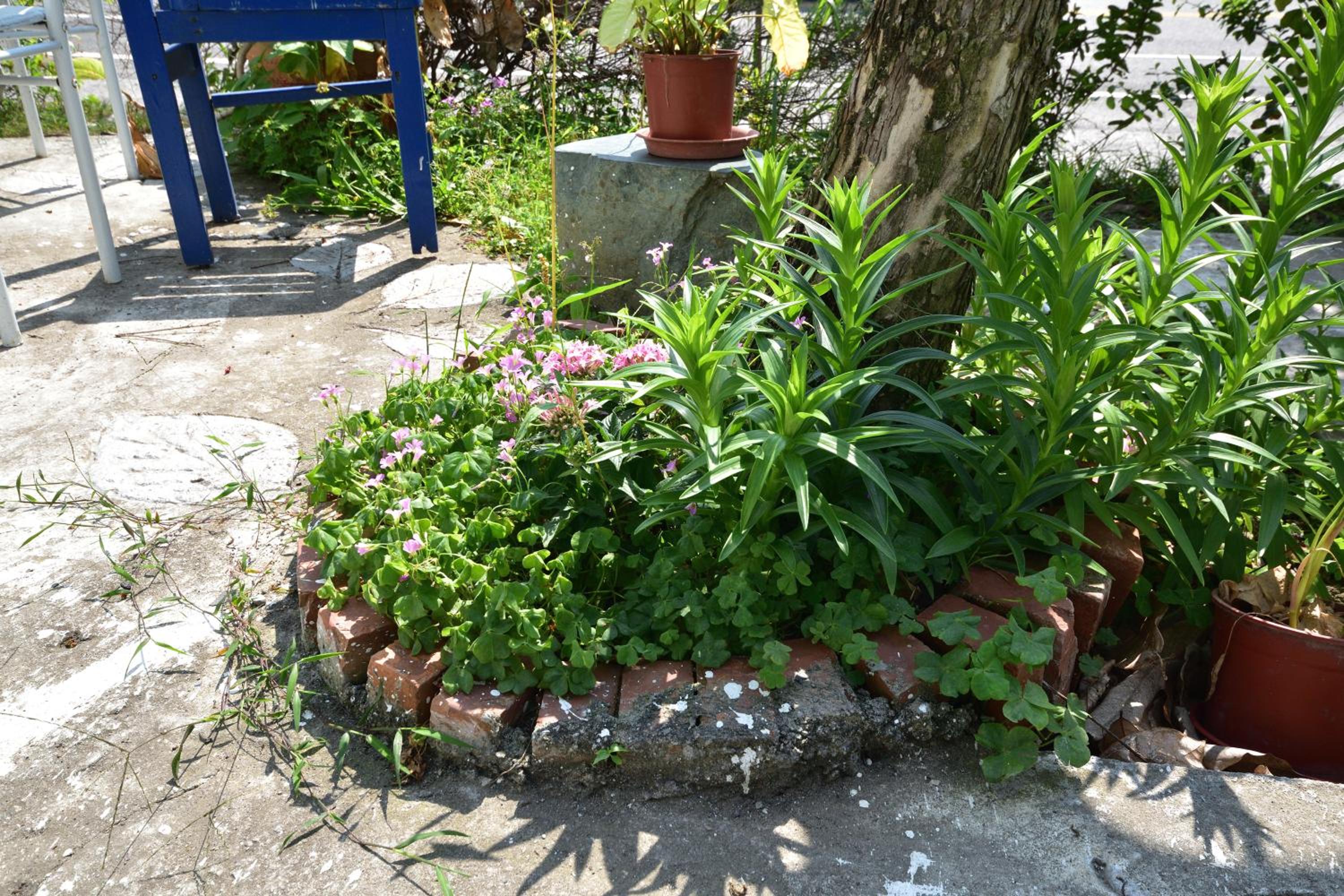 Taitung Linyuan B&B
