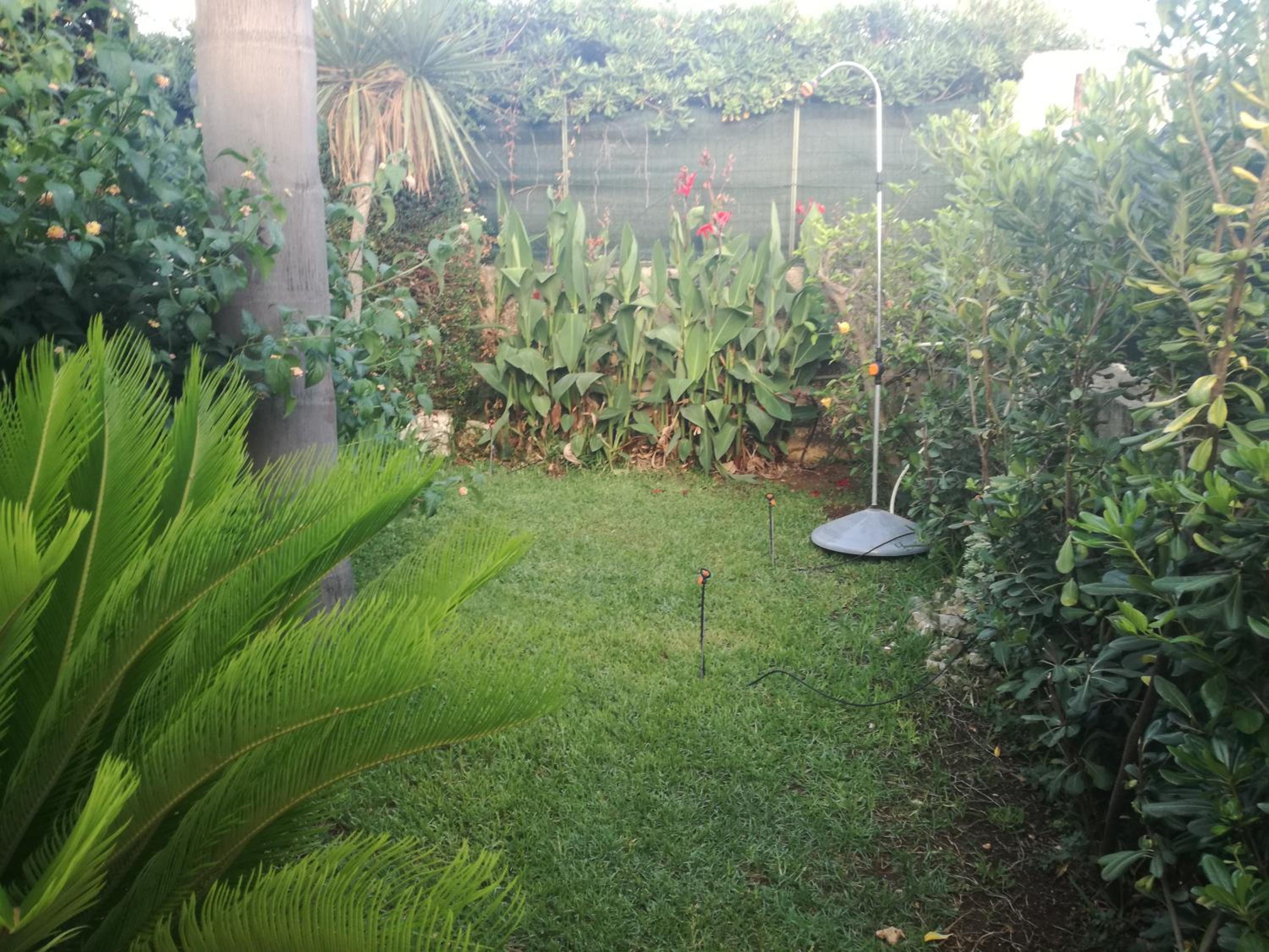 Photo 33