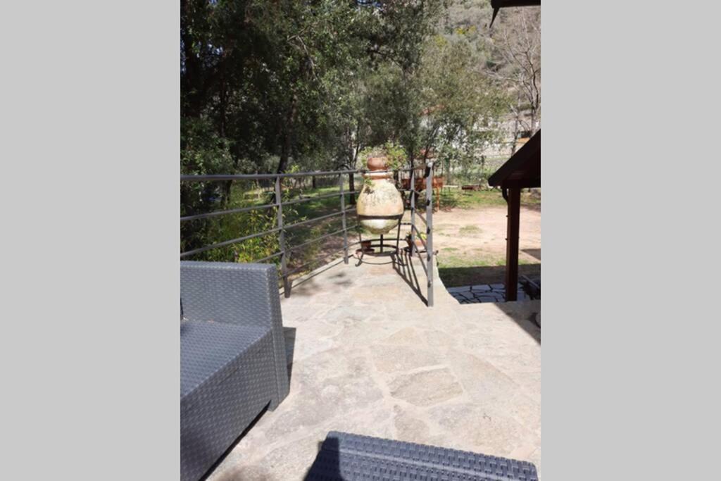 Casa al Fiume, fantastic rustic in nature Citra 00801-LT-0011 view 4