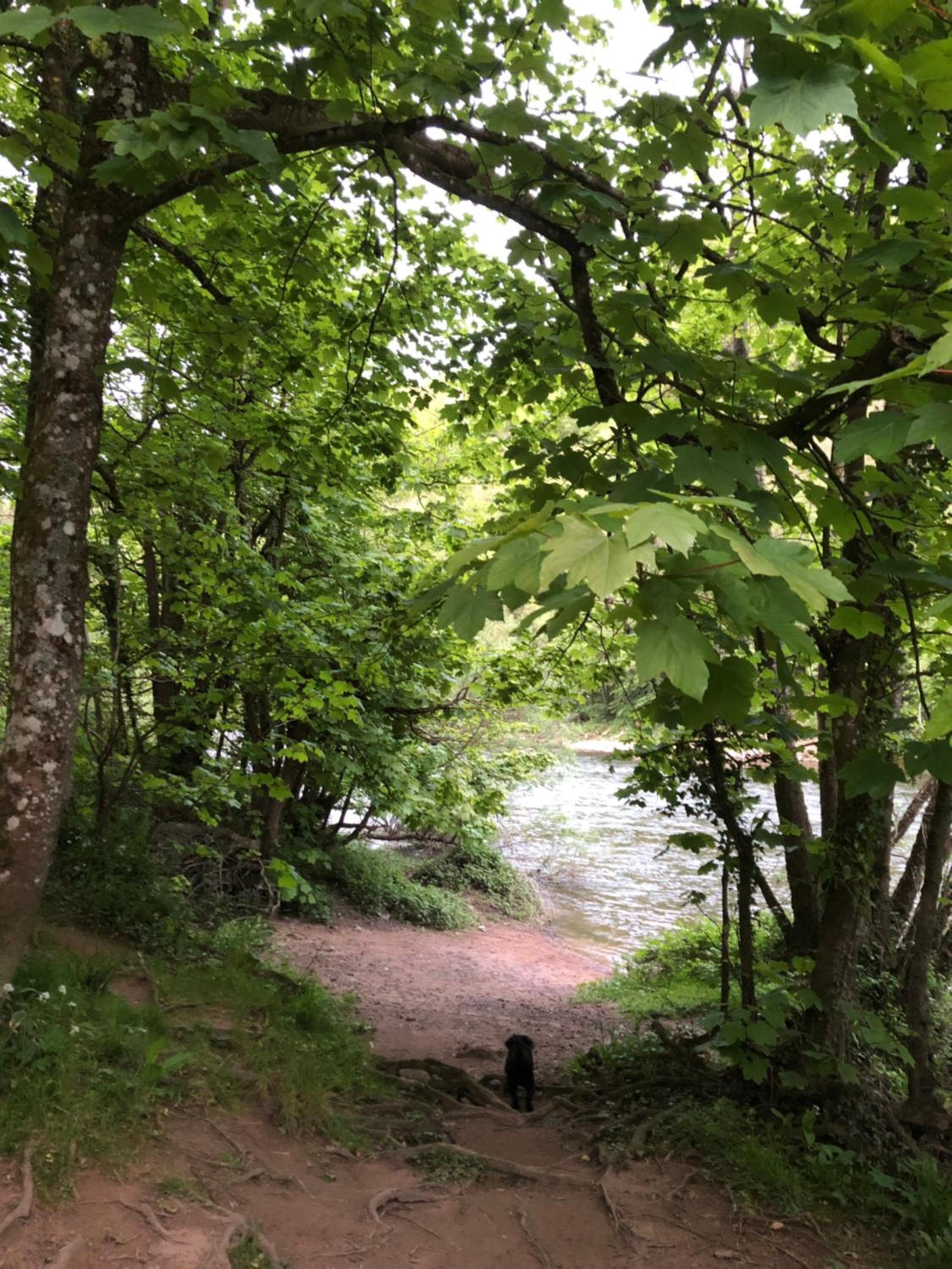 Symonds Yat - Herefordshire property with stunning views view 3