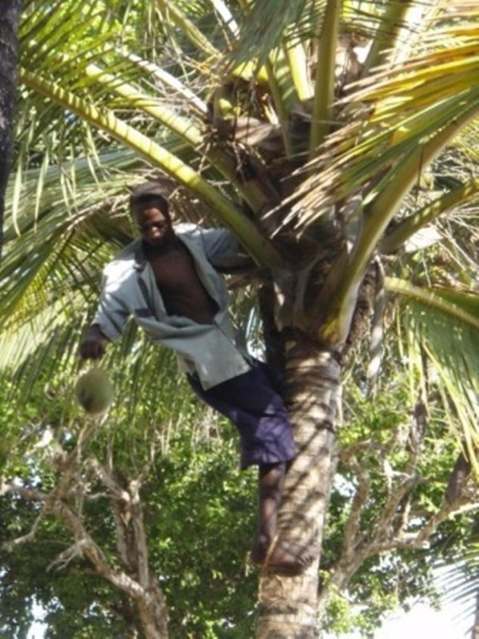 Diani Beachalets