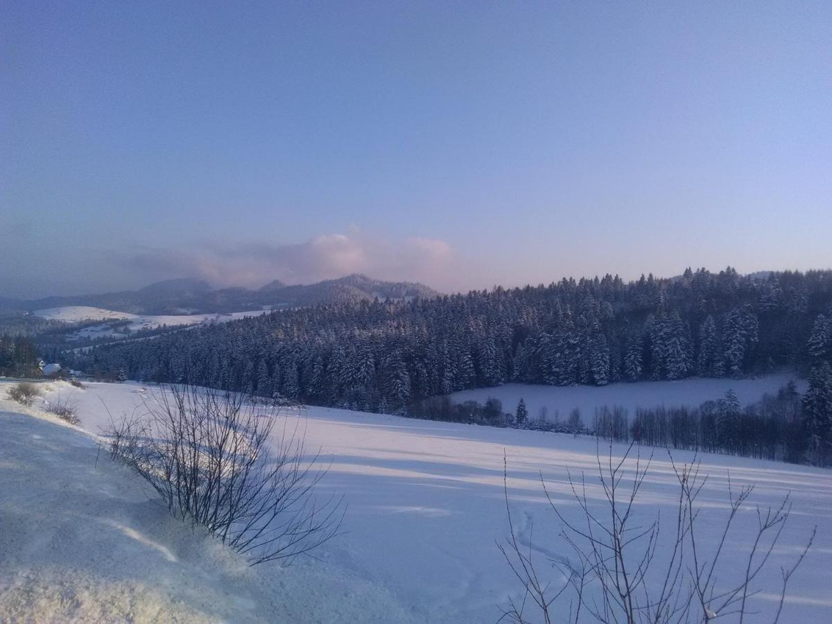 Photo 40