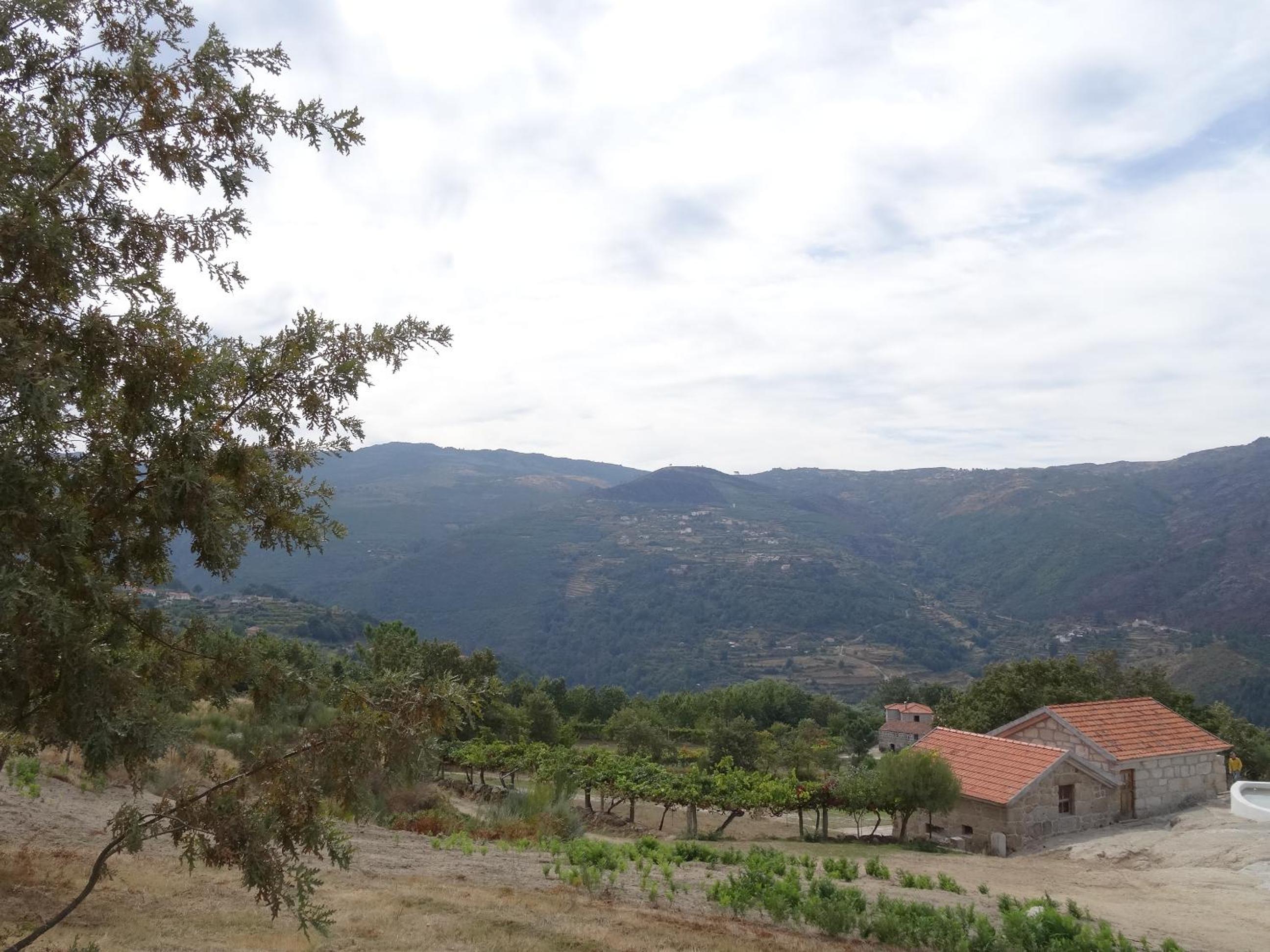 Quinta de S. Cipriano view 3
