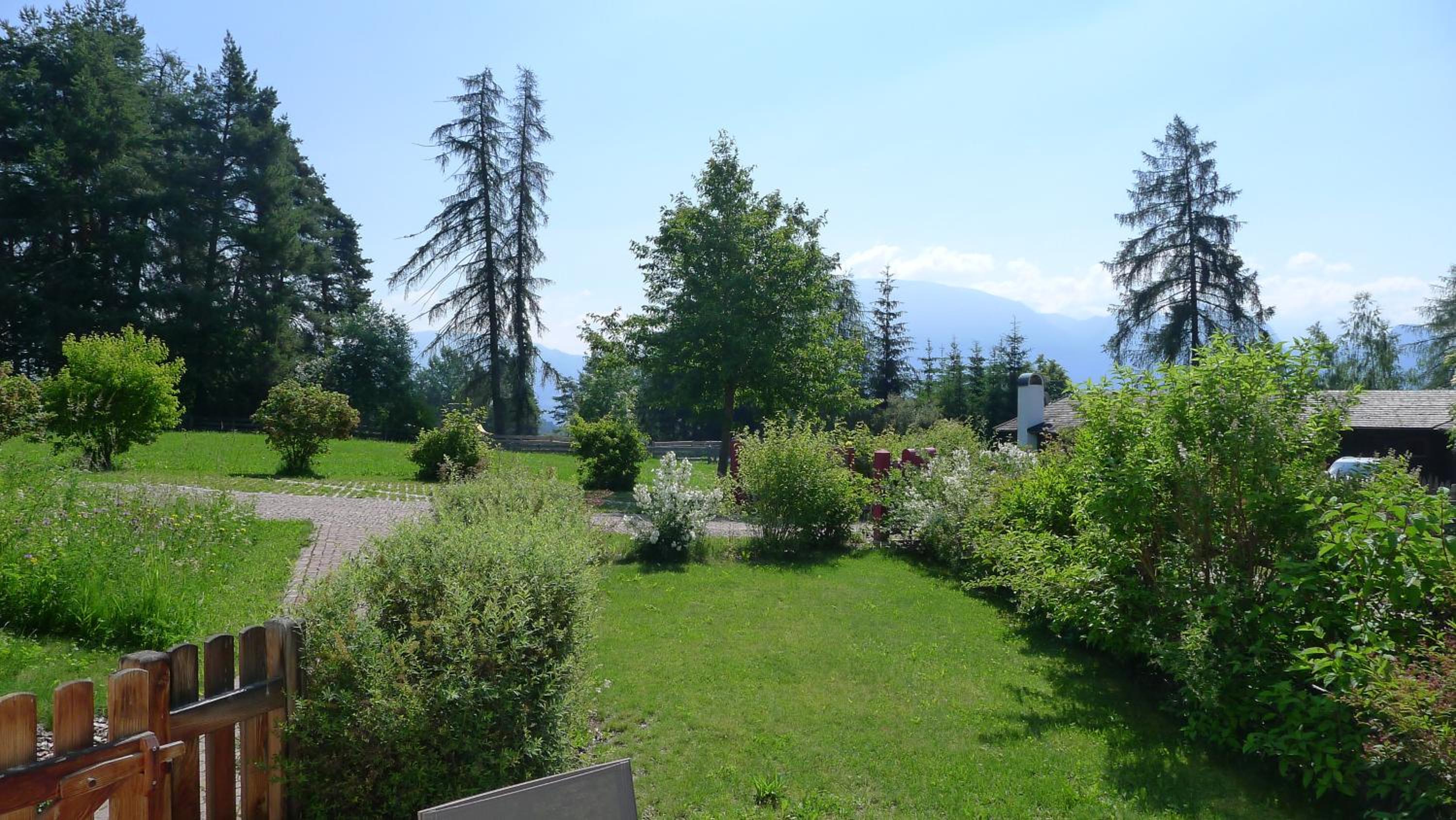 Photo 17