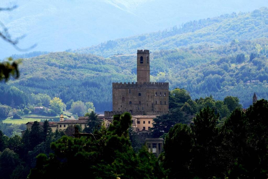 VILLA LIZ Tuscany, private pool, hot tub, property fenced, pets allowed view 4