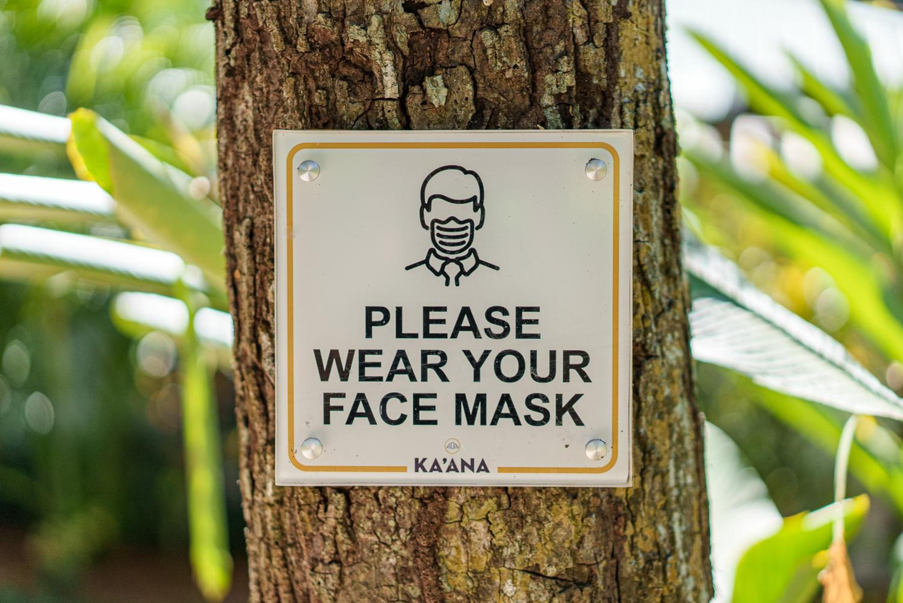 Belize Vacations - Ka'ana Resort  Spa - Property Image 131