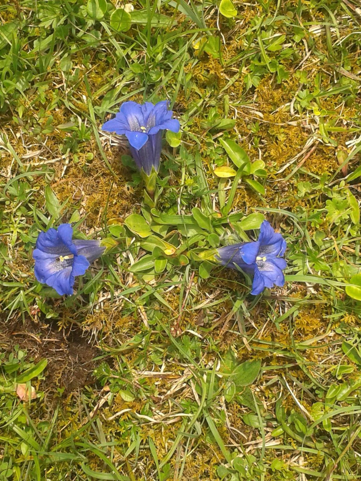 Photo 39