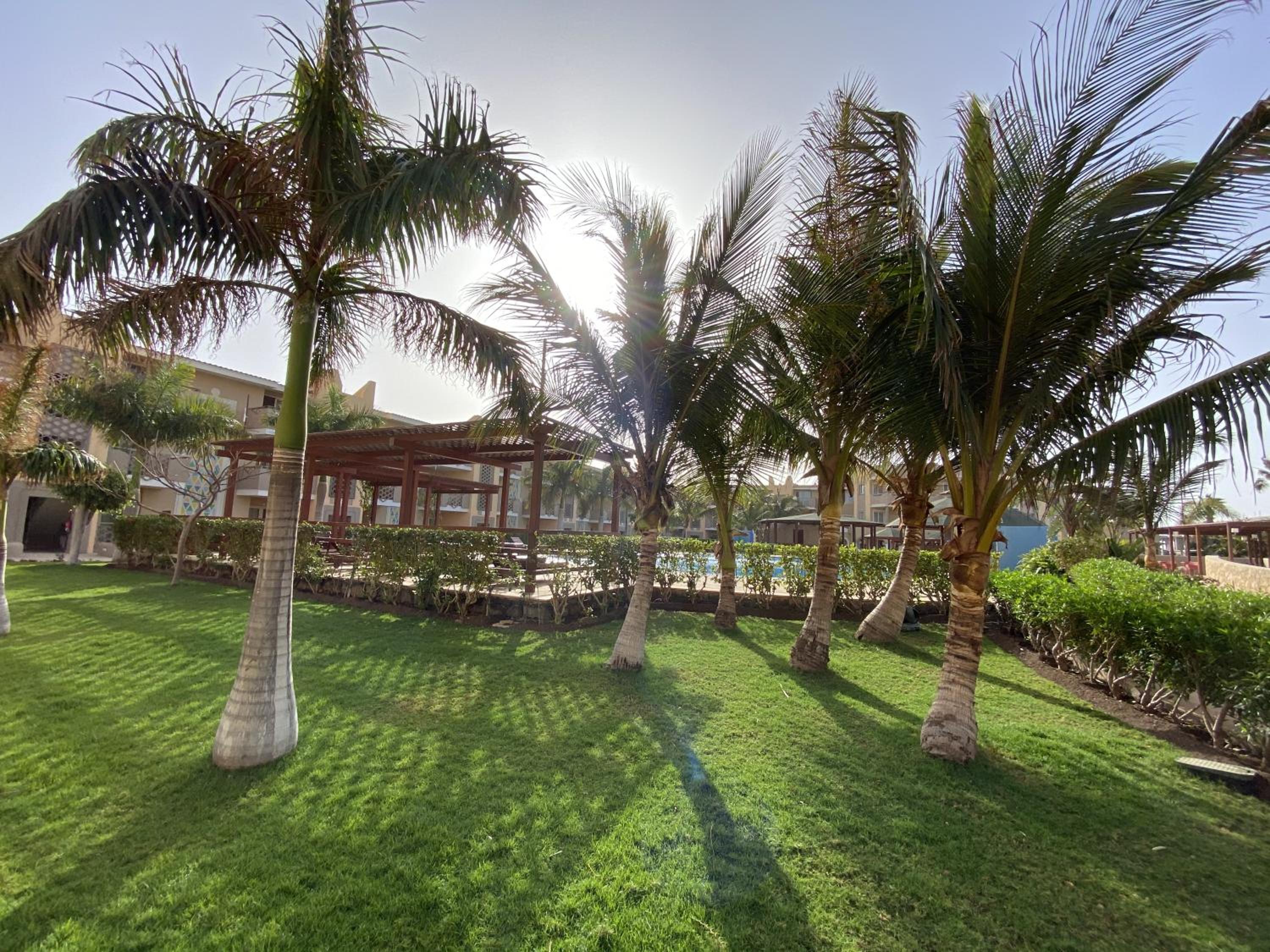 Zen House Tropical