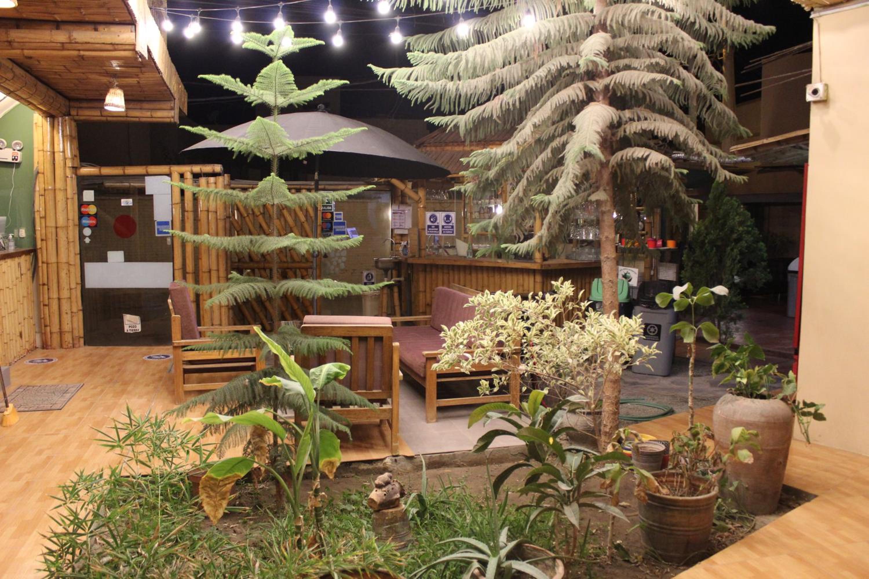 La Casa de Bamboo