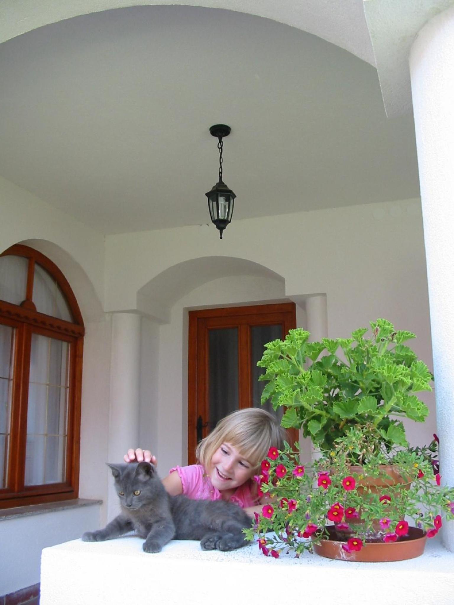Photo 31